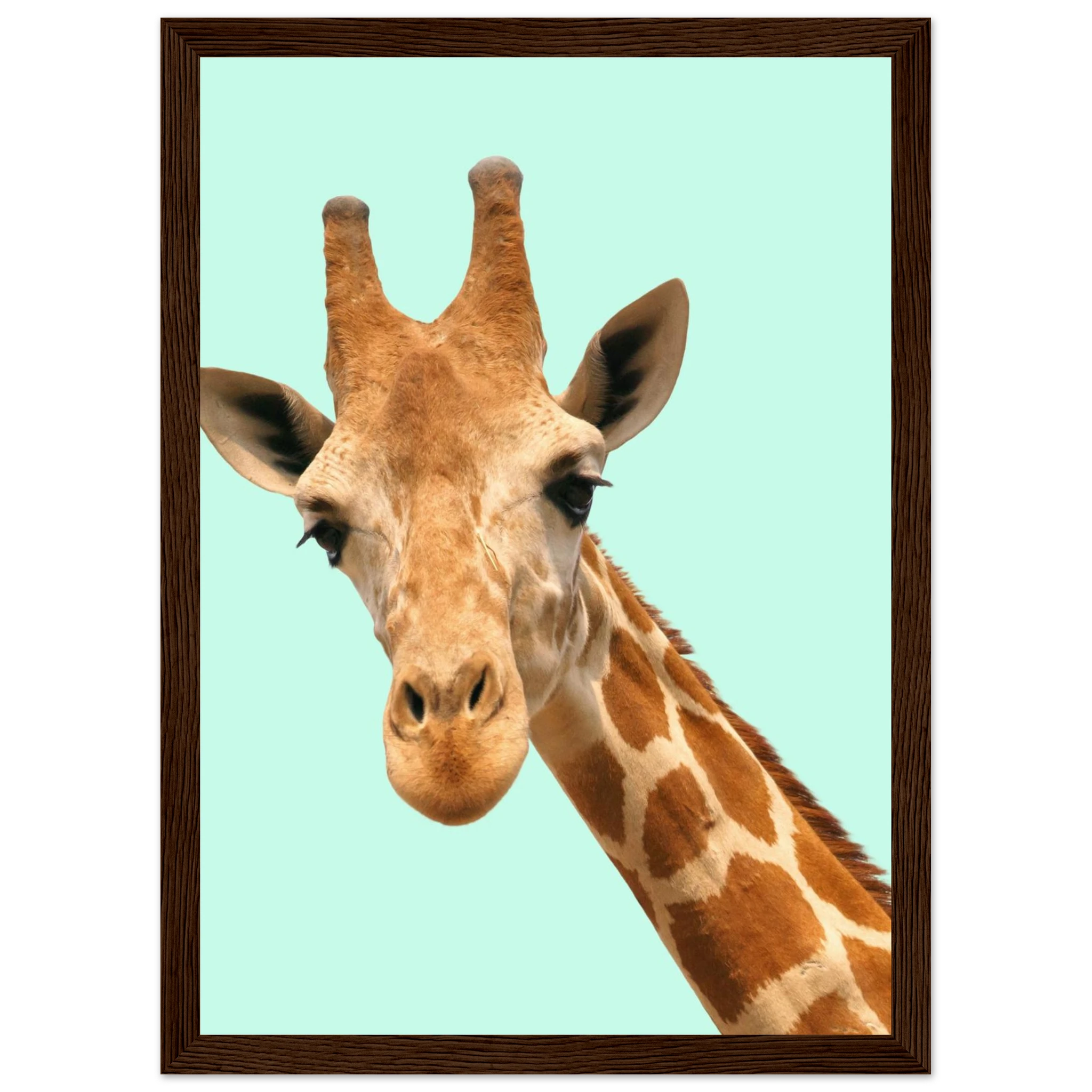 cd0c1828-b0ff-46dc-a500-754e540e8bbc