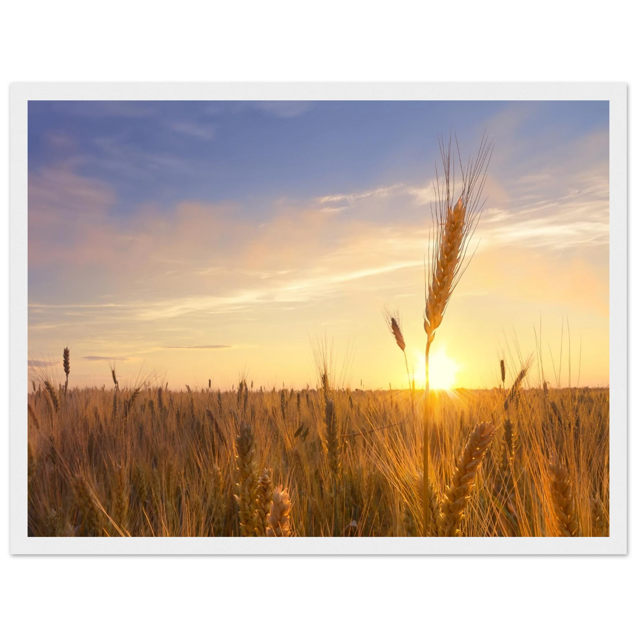 cd4aa906-26d7-4950-9304-6b0511e96e54