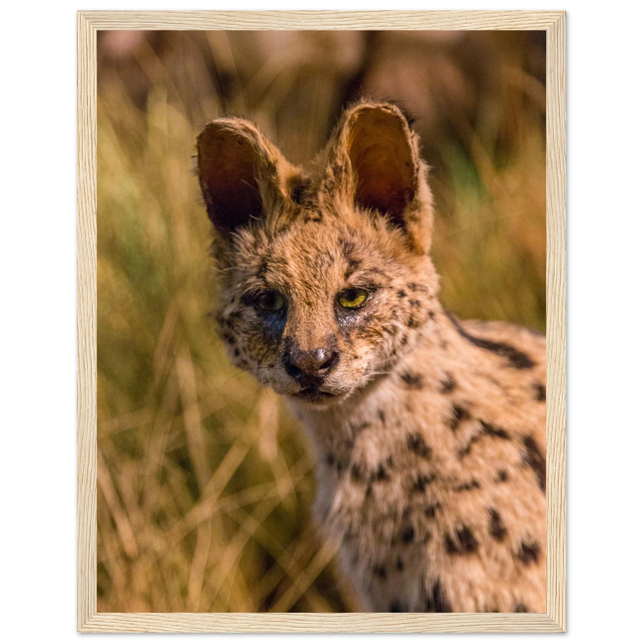 cd5be554-c8a6-4b40-bf6e-08386029a4a8