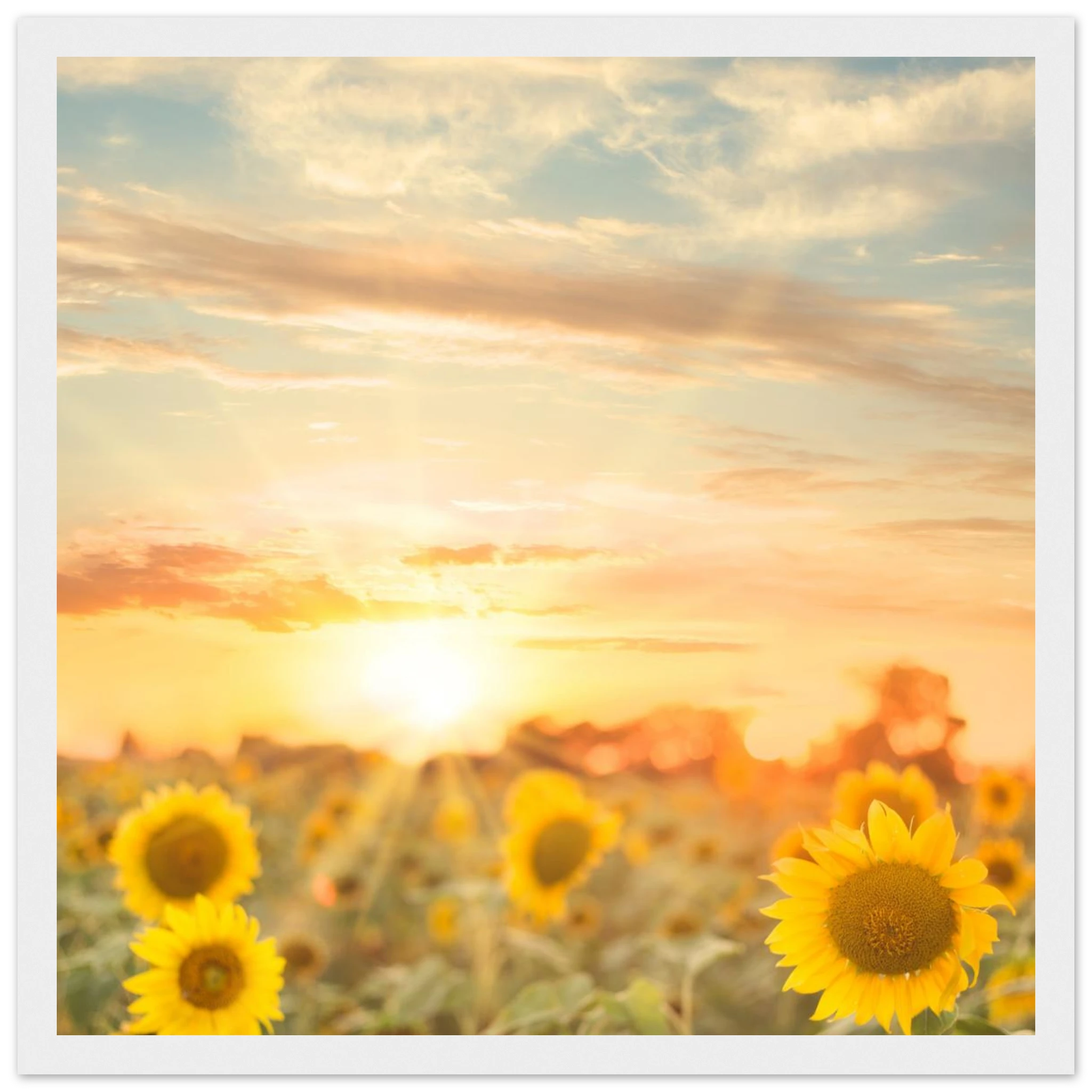 cd61698d-6113-4763-b978-87e8a0b5f5ca