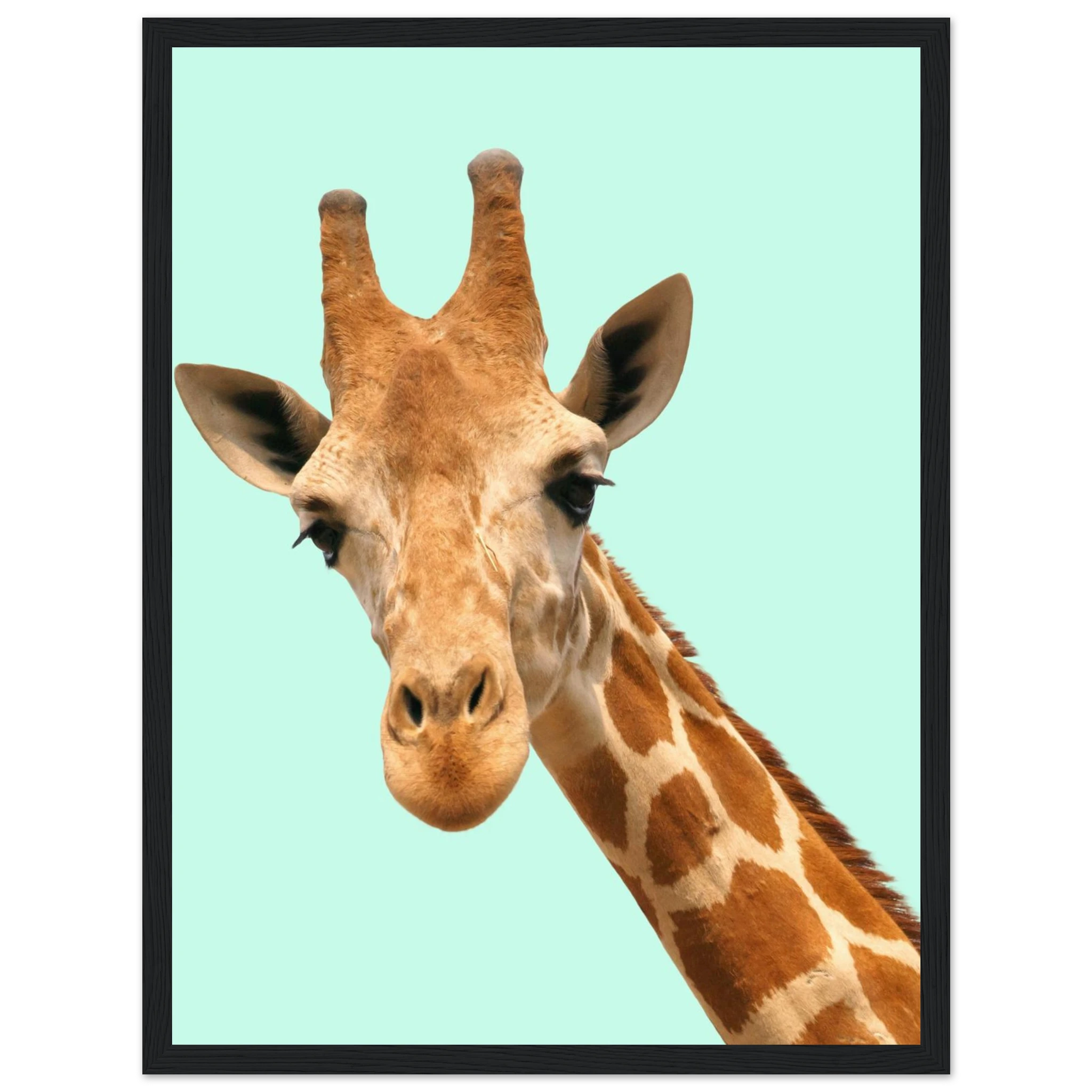 cd66c356-9669-41b6-851f-bff35bbc4fa9