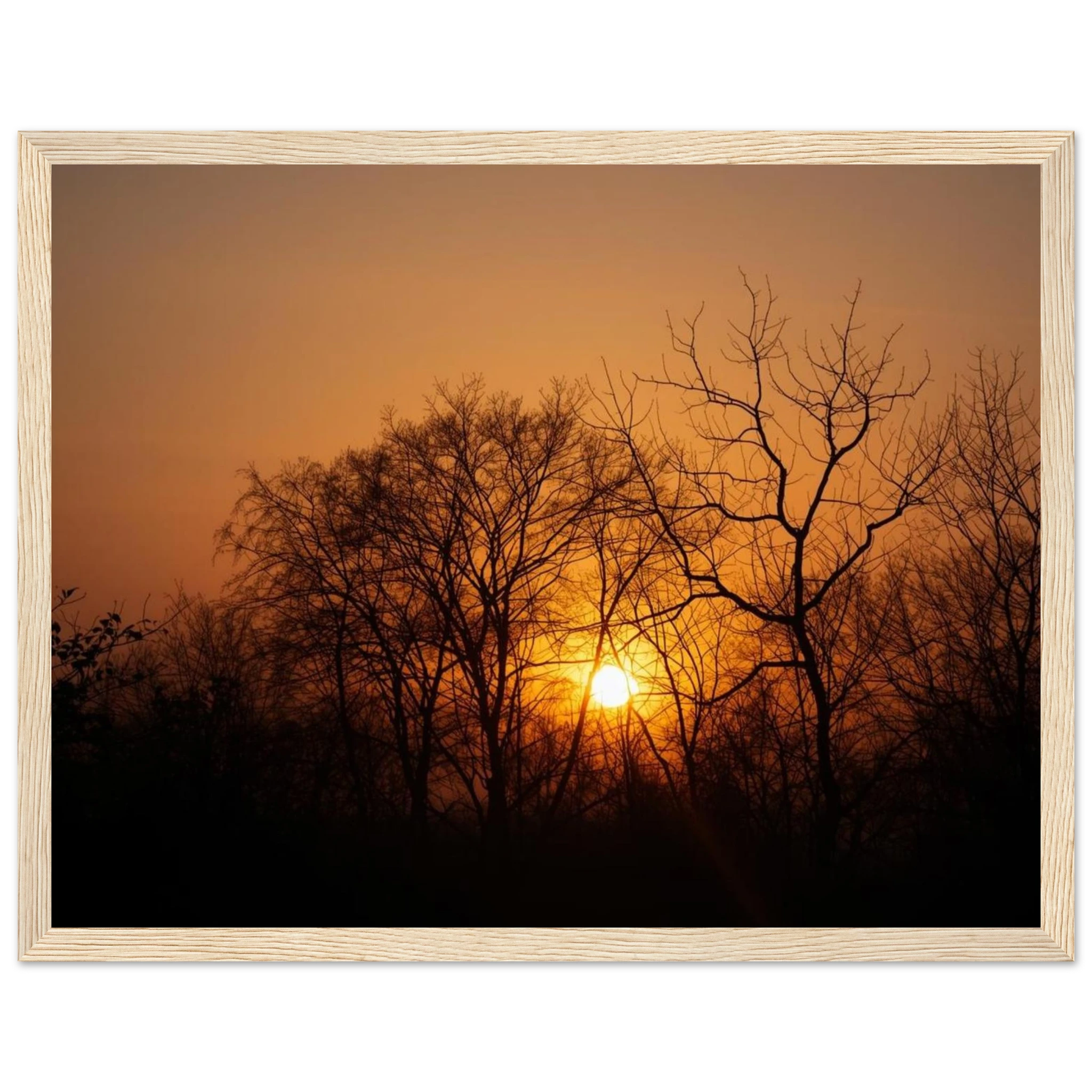 cd6b1e3b-d51b-4323-aa4f-0d1ec1970524