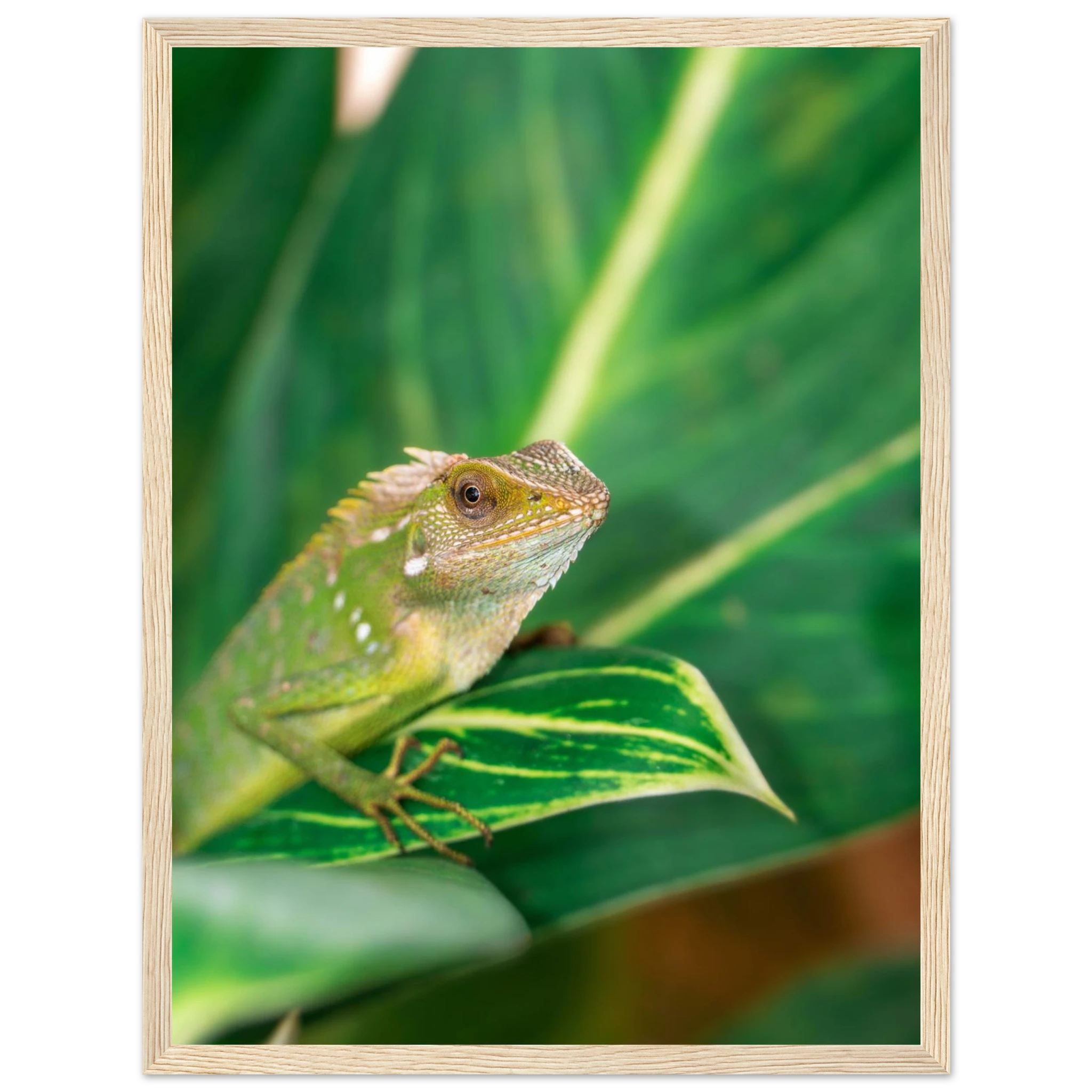 cd8963f9-9cbe-441b-abb0-151ac6616248