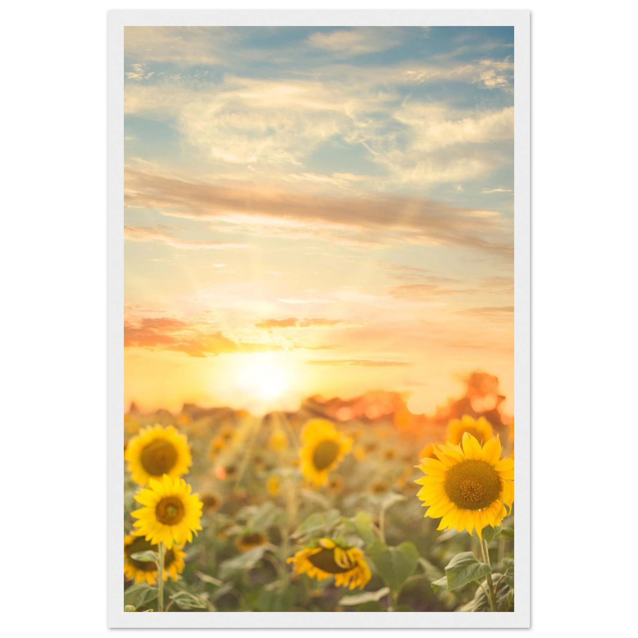 cda43808-4f6f-4cee-86c0-701358c52070