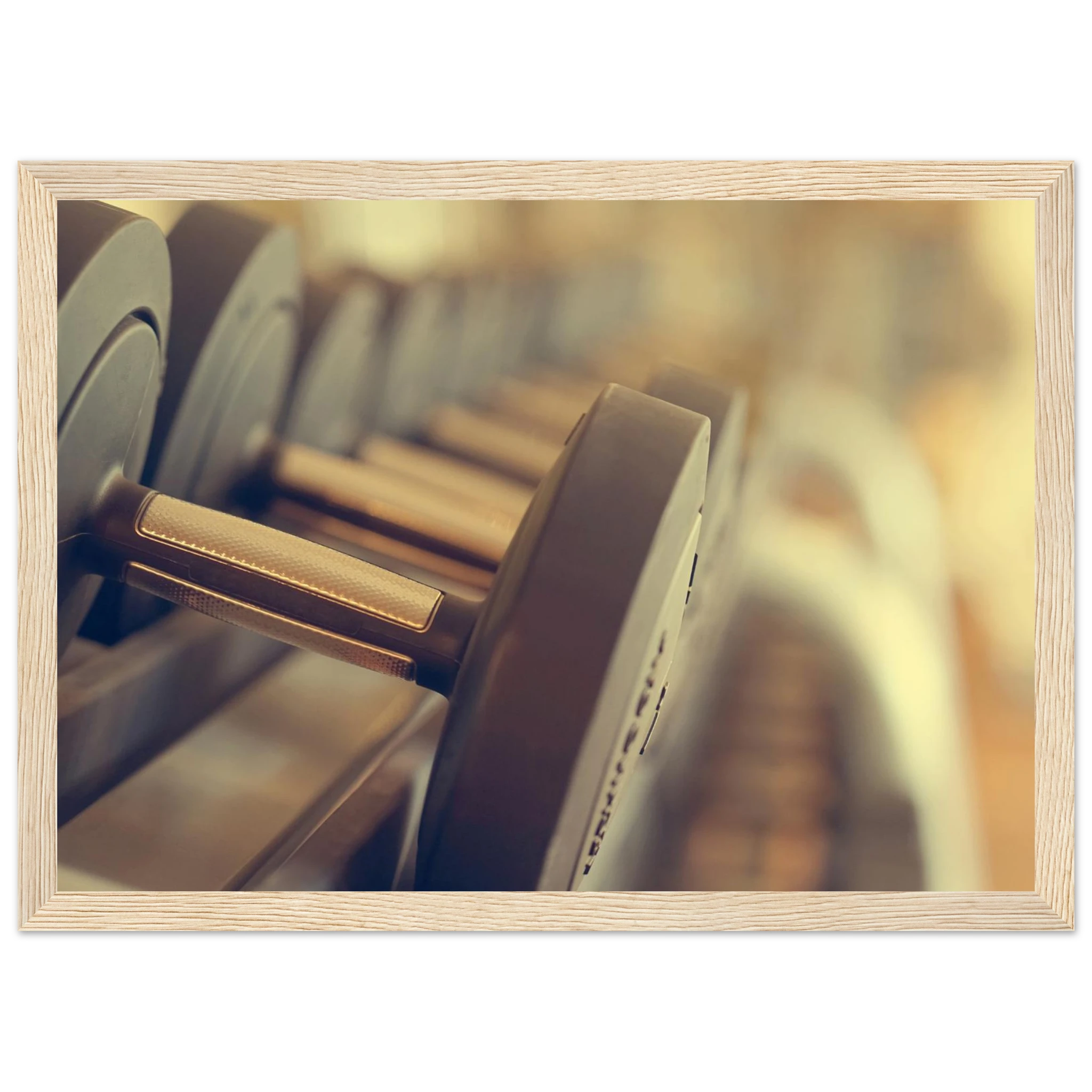 cdab3386-7fa1-4395-92e4-ca44c0221383