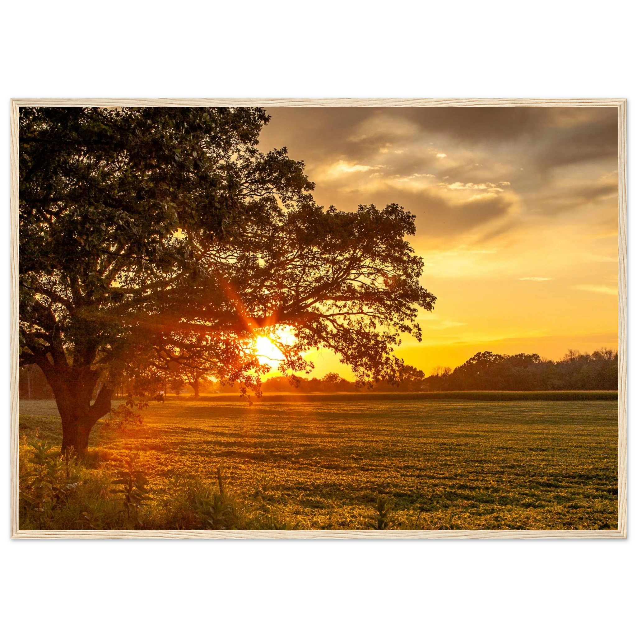 cdab4125-7fb0-46d4-a4e8-73df93965e26