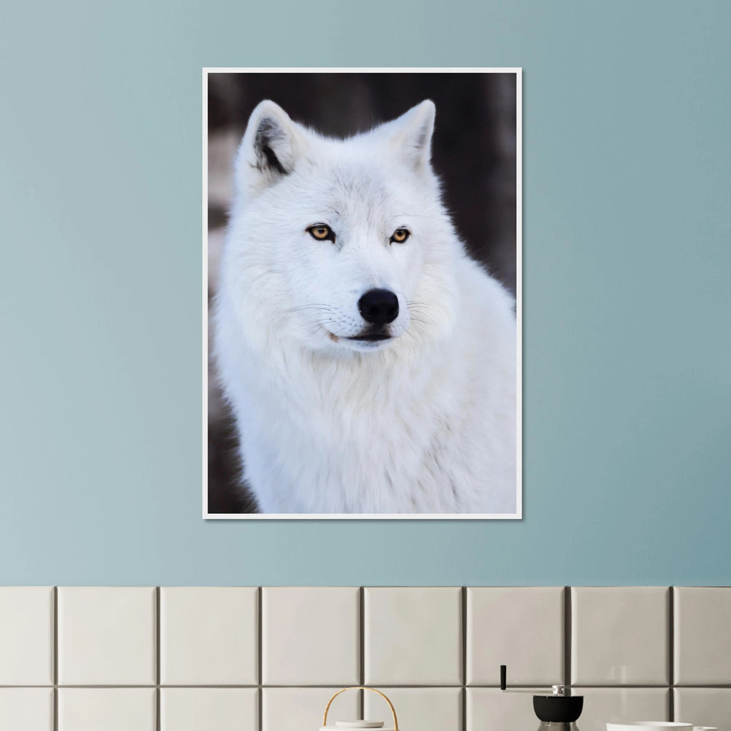 cdac3d14-e1d0-44ba-a54c-db43bf2b2238