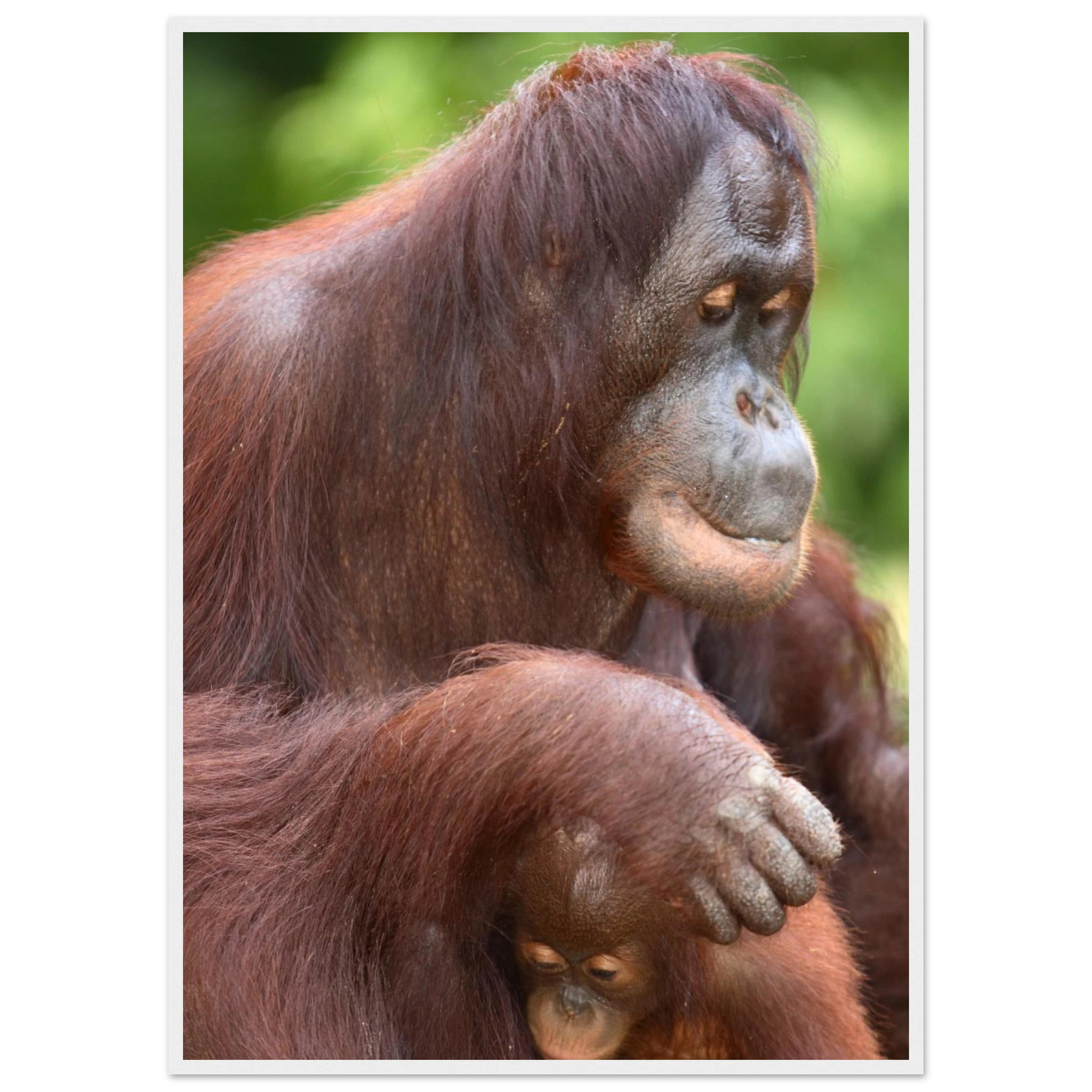 cdc84808-ced5-4c1c-a894-6f4dce3168fe