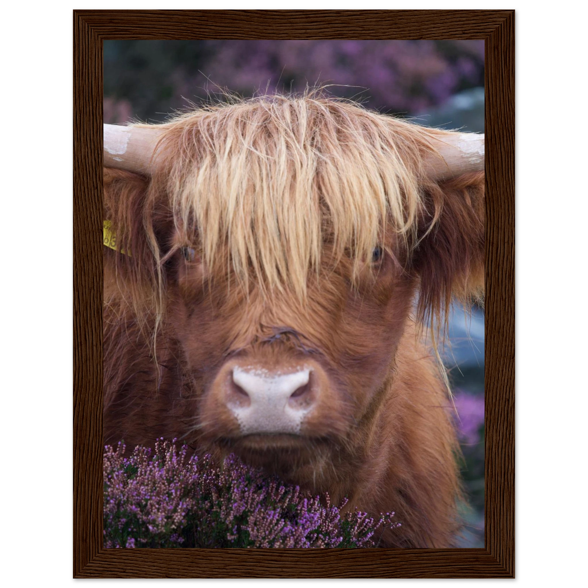 cdcebff0-3a61-4057-9293-b40dd1c50710