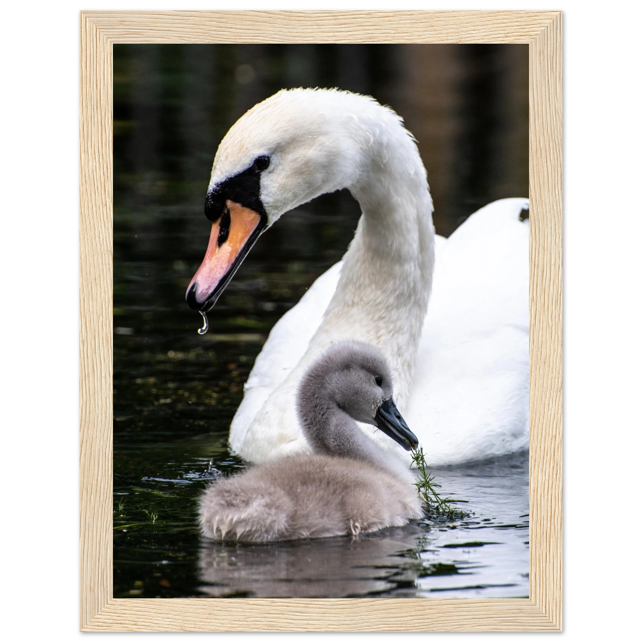 cdd2b454-138a-4604-a723-259f472befcb