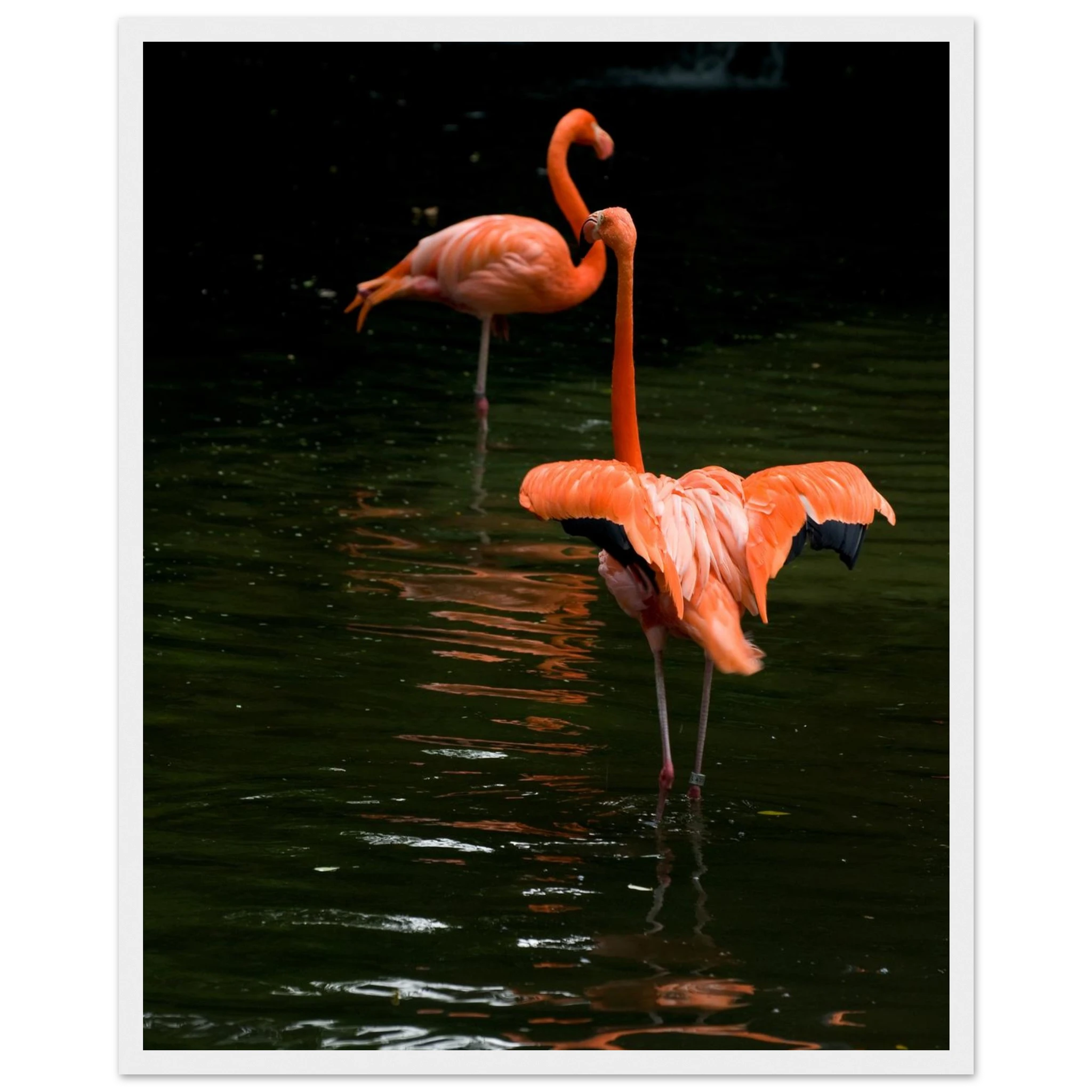 ce0a525b-bdd2-49b7-b84c-5eba4a5139fe