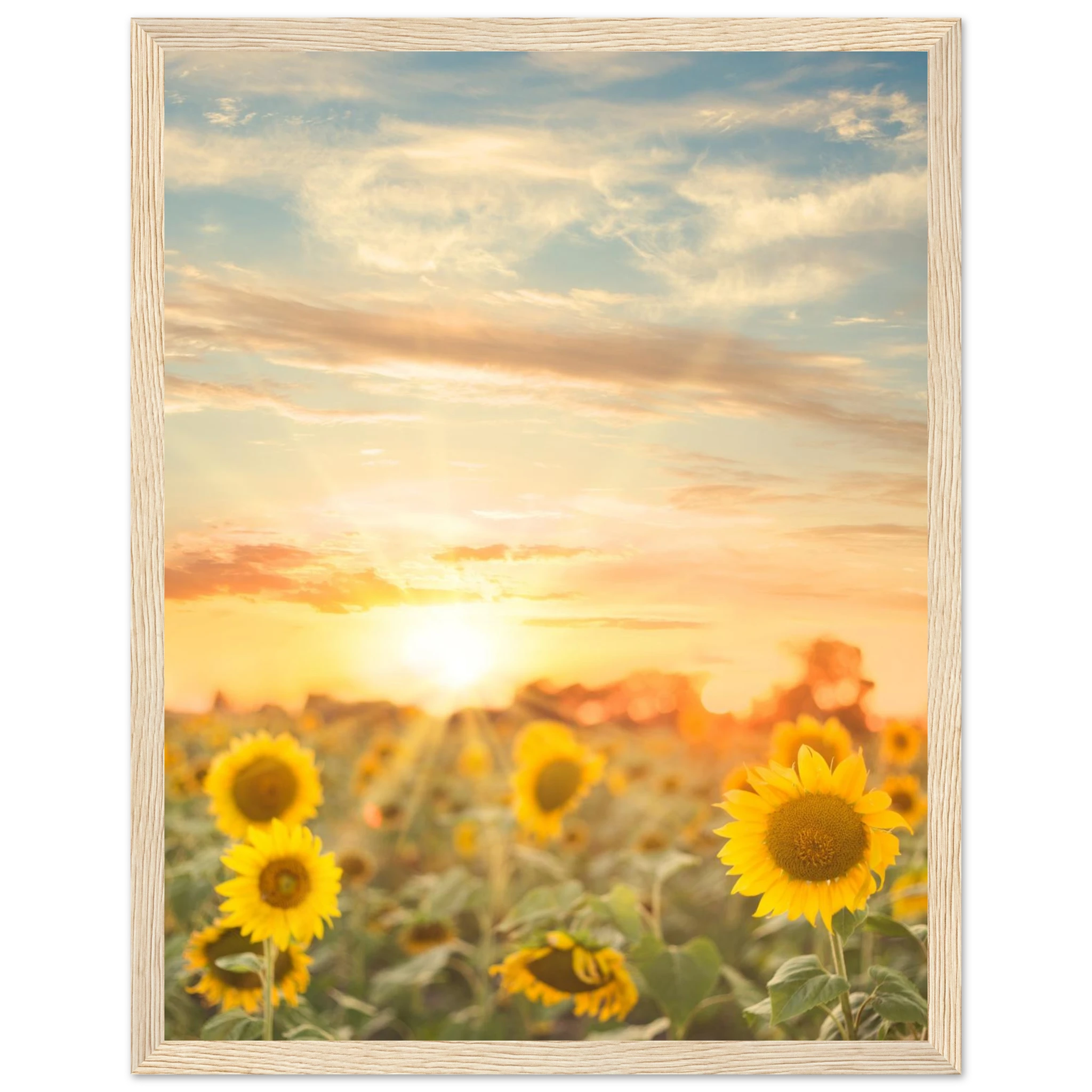 ce192176-b71b-4917-9cf3-90d60f401c7e