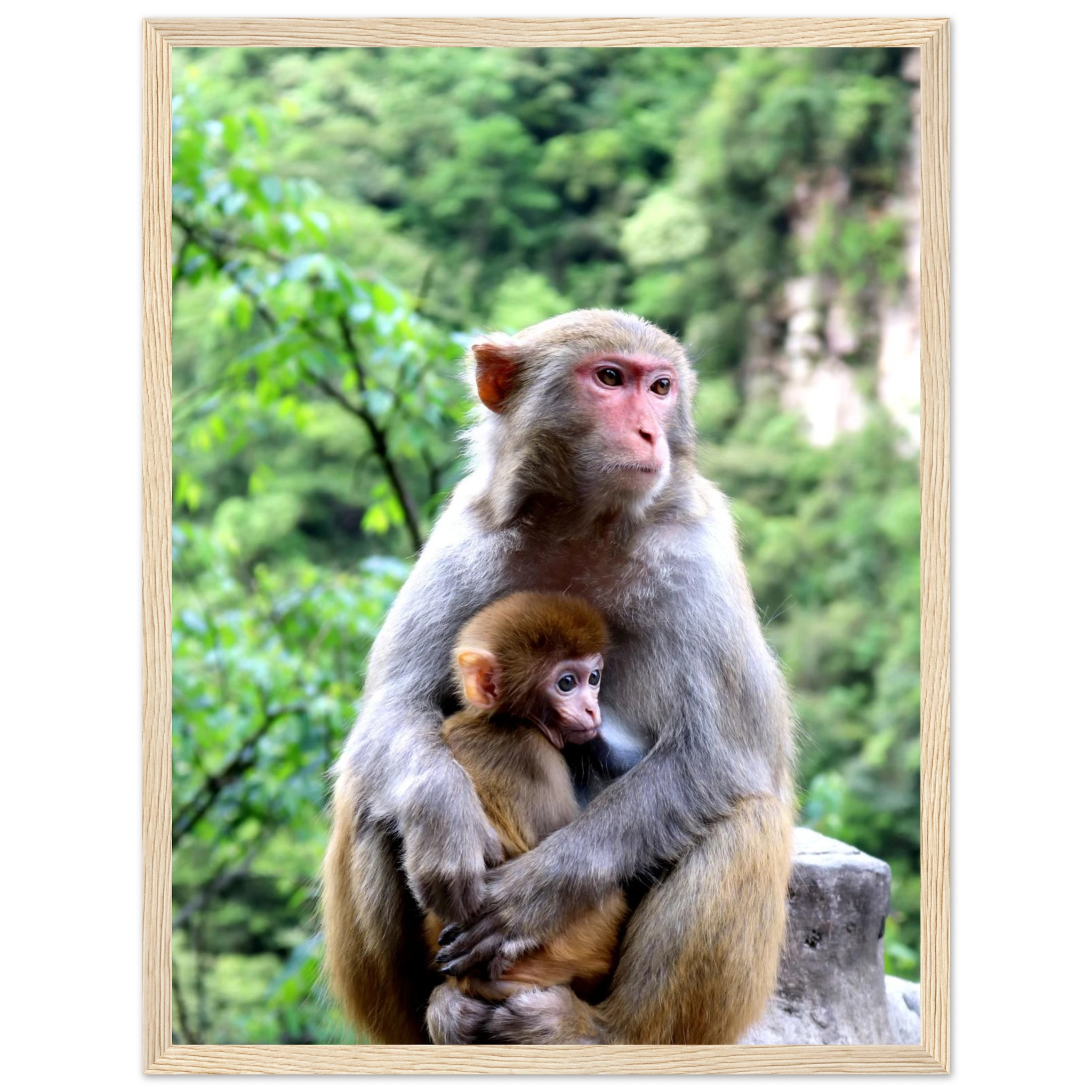 ce1b23f0-44a6-4512-a215-bab4bf7b96ac