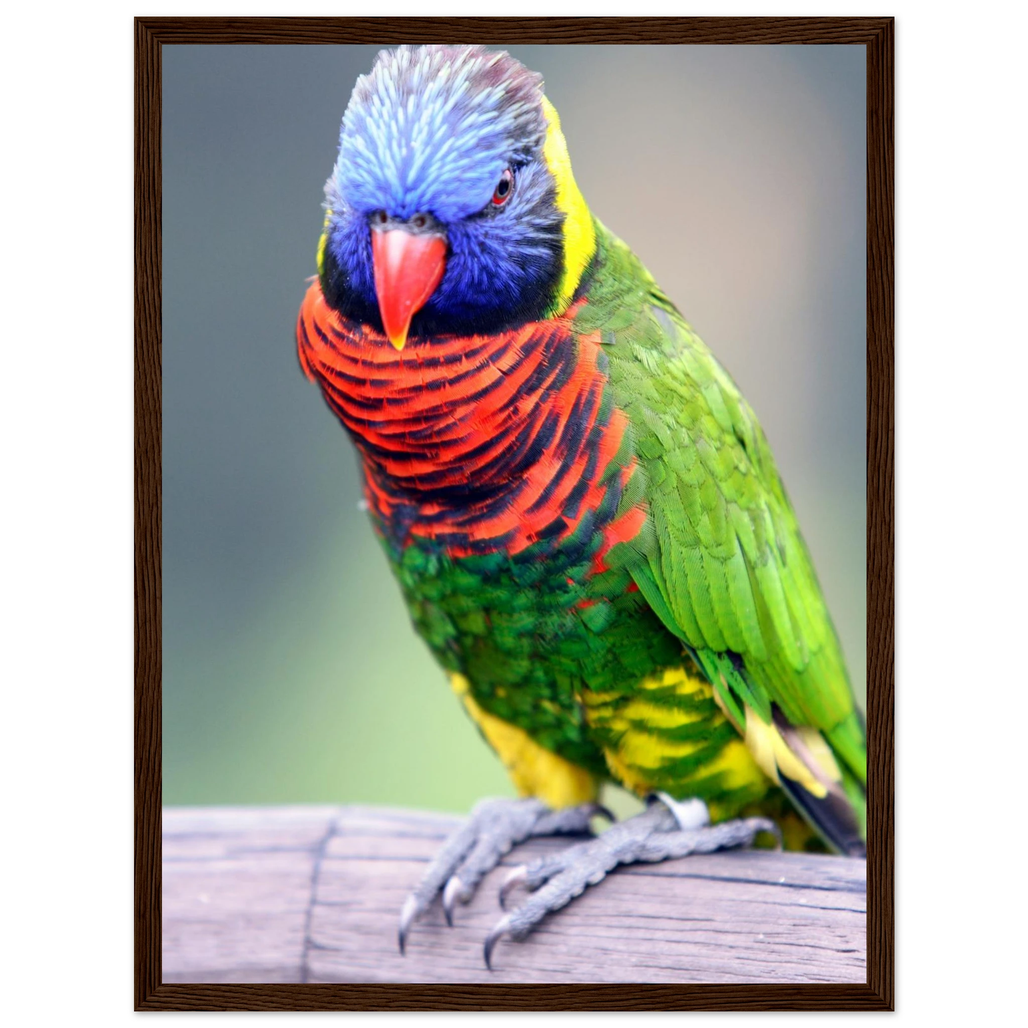 ce305572-edb0-4d2e-9a94-e77e590a597d