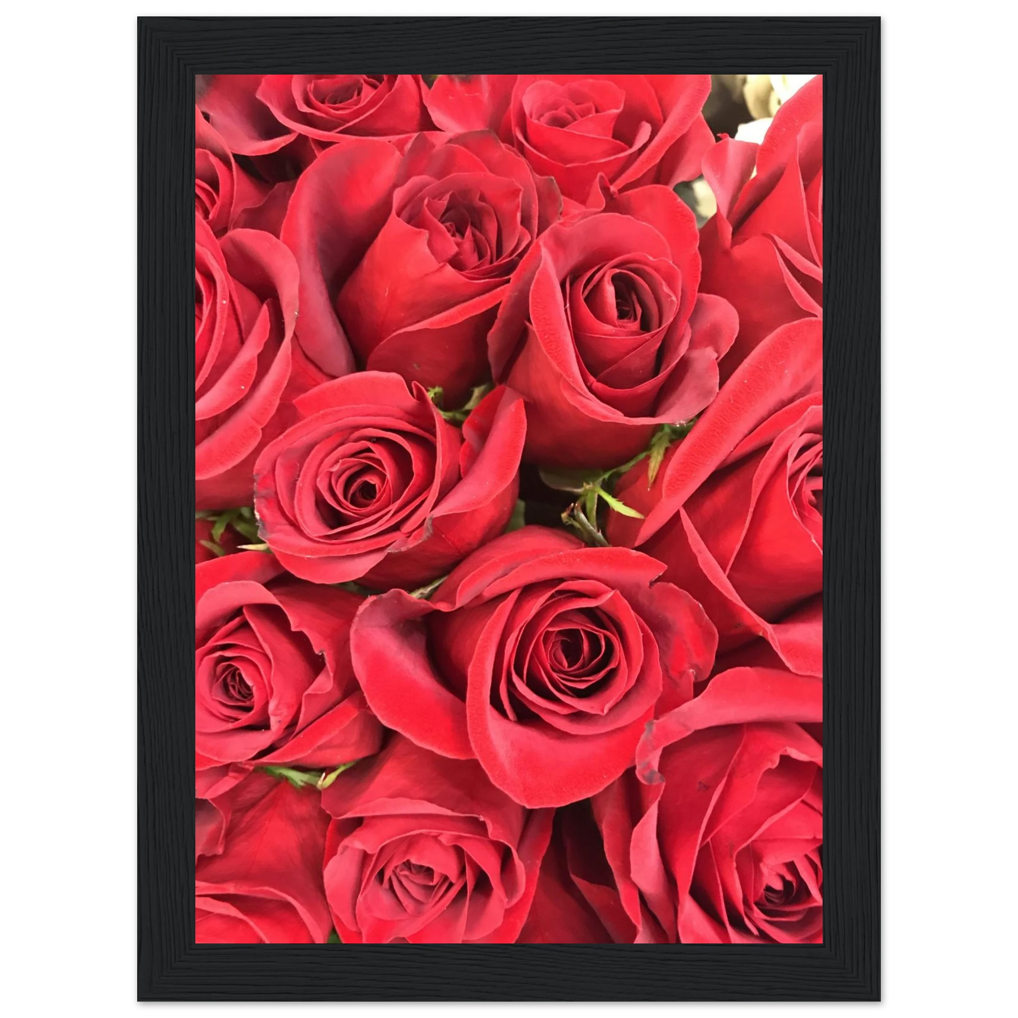 ce38c601-6ee3-4613-a0c5-4ceaefe51b23