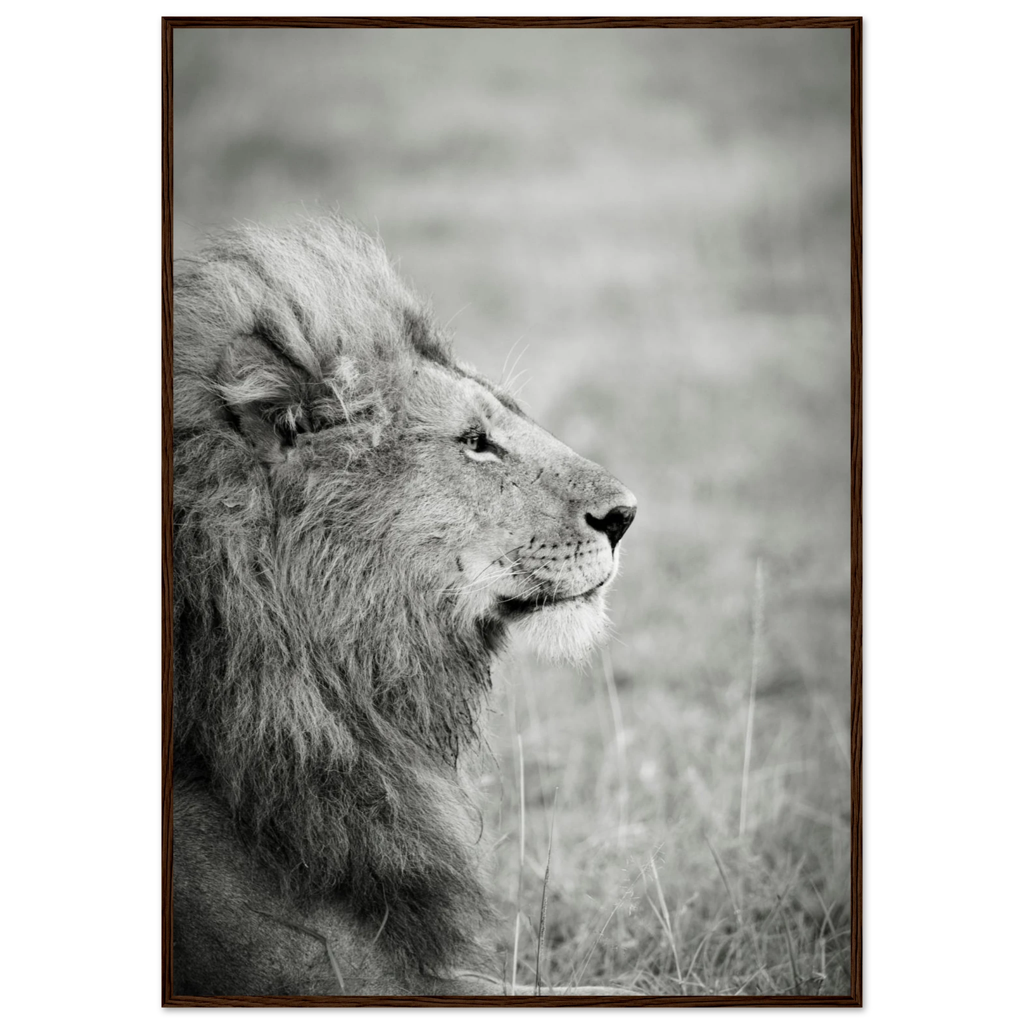 ce38c62d-5bb3-487a-9401-22b39429f6af