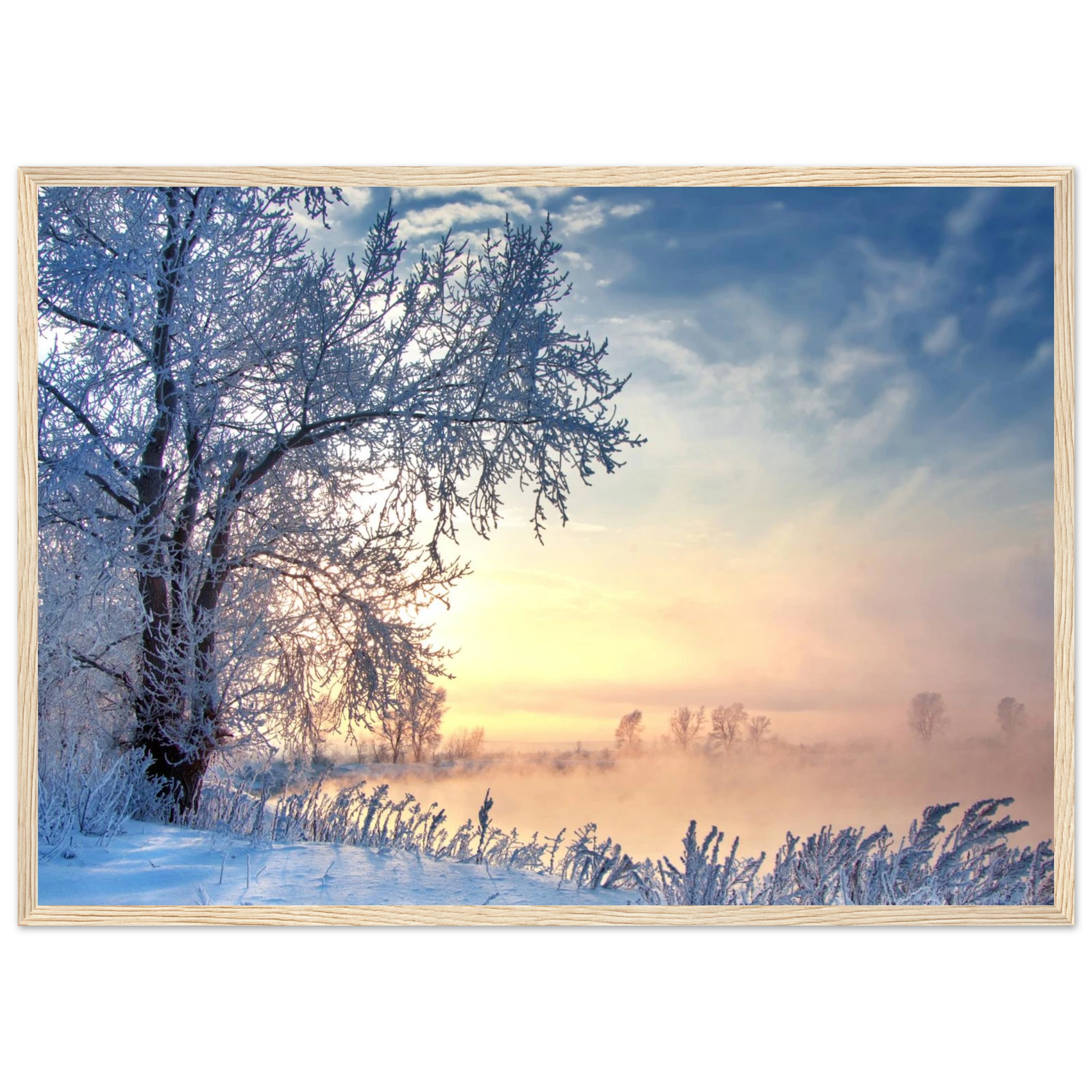 ce3d302b-fb4d-4260-9299-66c35bb9f270