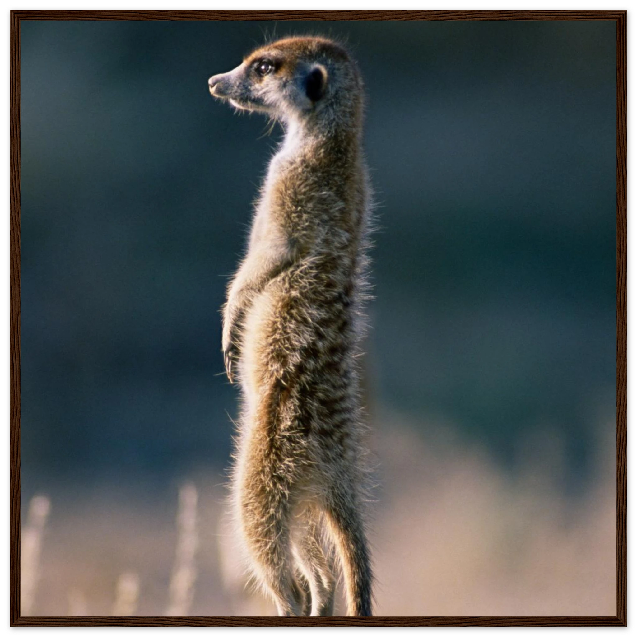 ce4bbe8b-9d45-4cbe-be74-6f4344708231