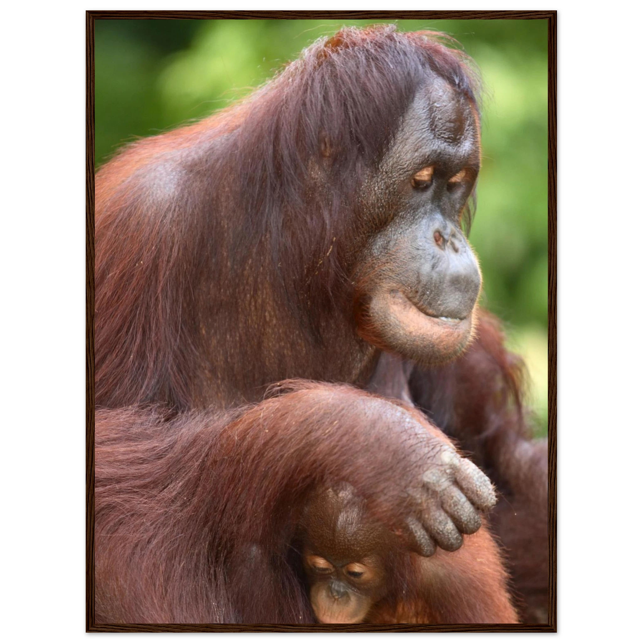 ce55de3b-a70f-4fdc-aaf6-b60d9049c628