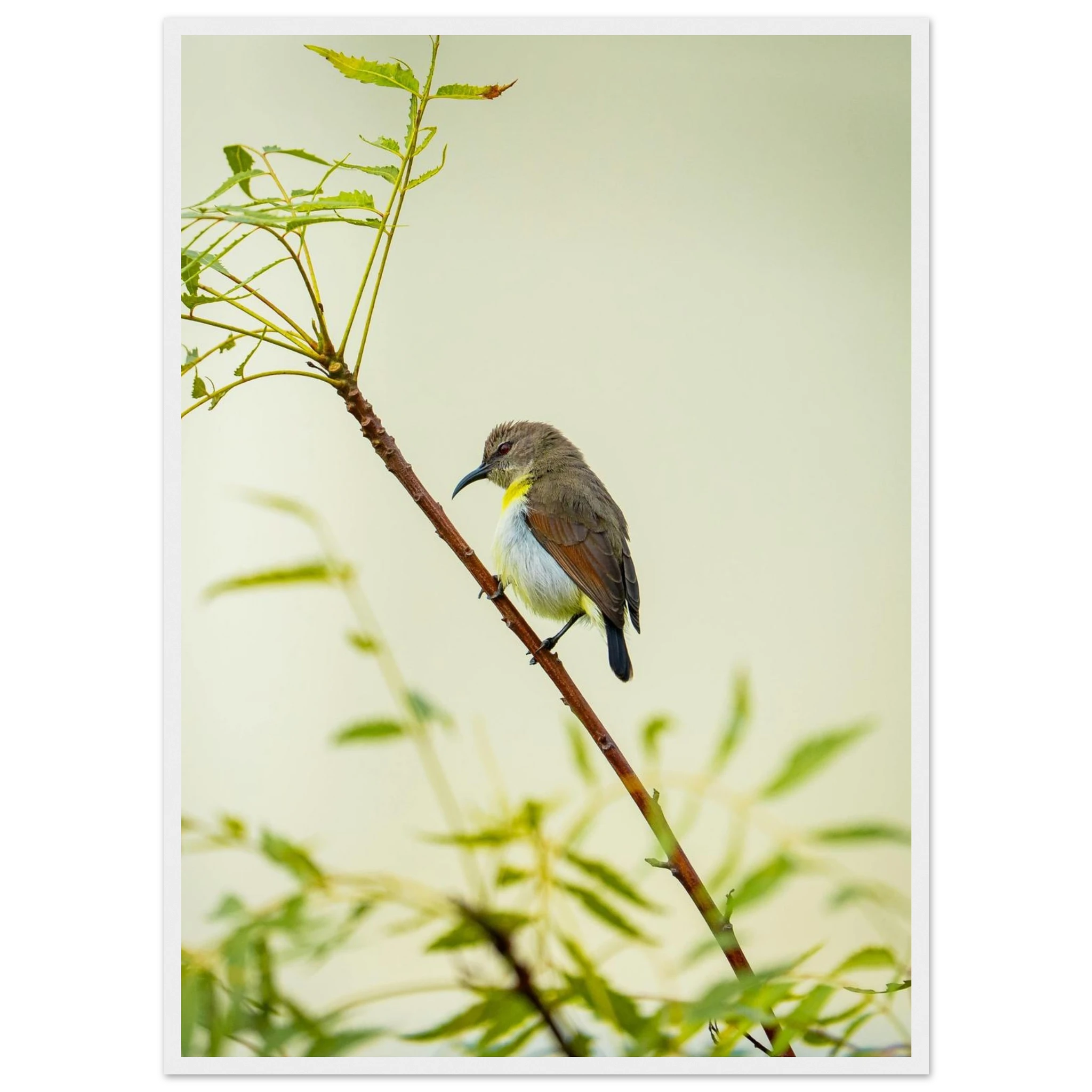 ce561895-5faa-4bc2-ae27-47c8483715b0