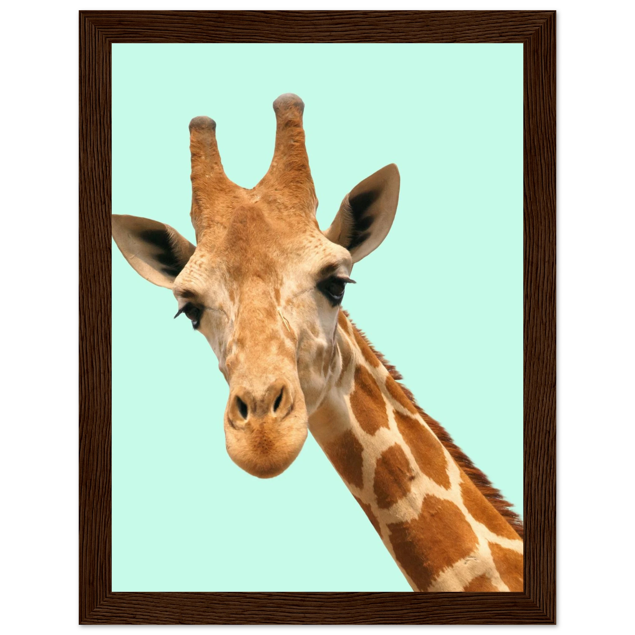 ce6bb698-5644-4c78-99cb-8e455eb5aa85