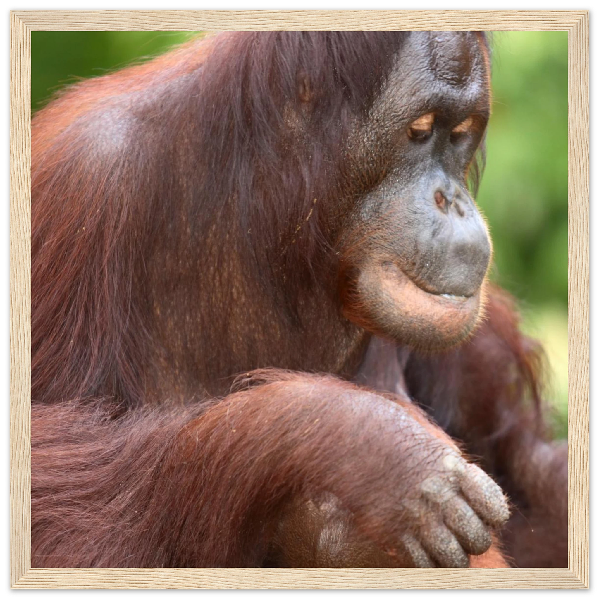 ce6c80b2-c543-4937-afef-31d8e3eb63d1