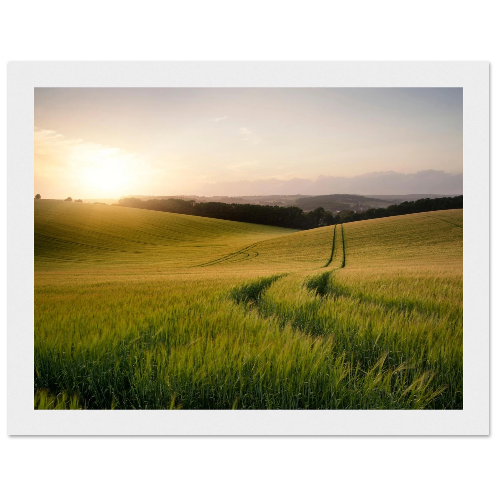 ce752bad-66e0-40f7-b843-8578da8c705e