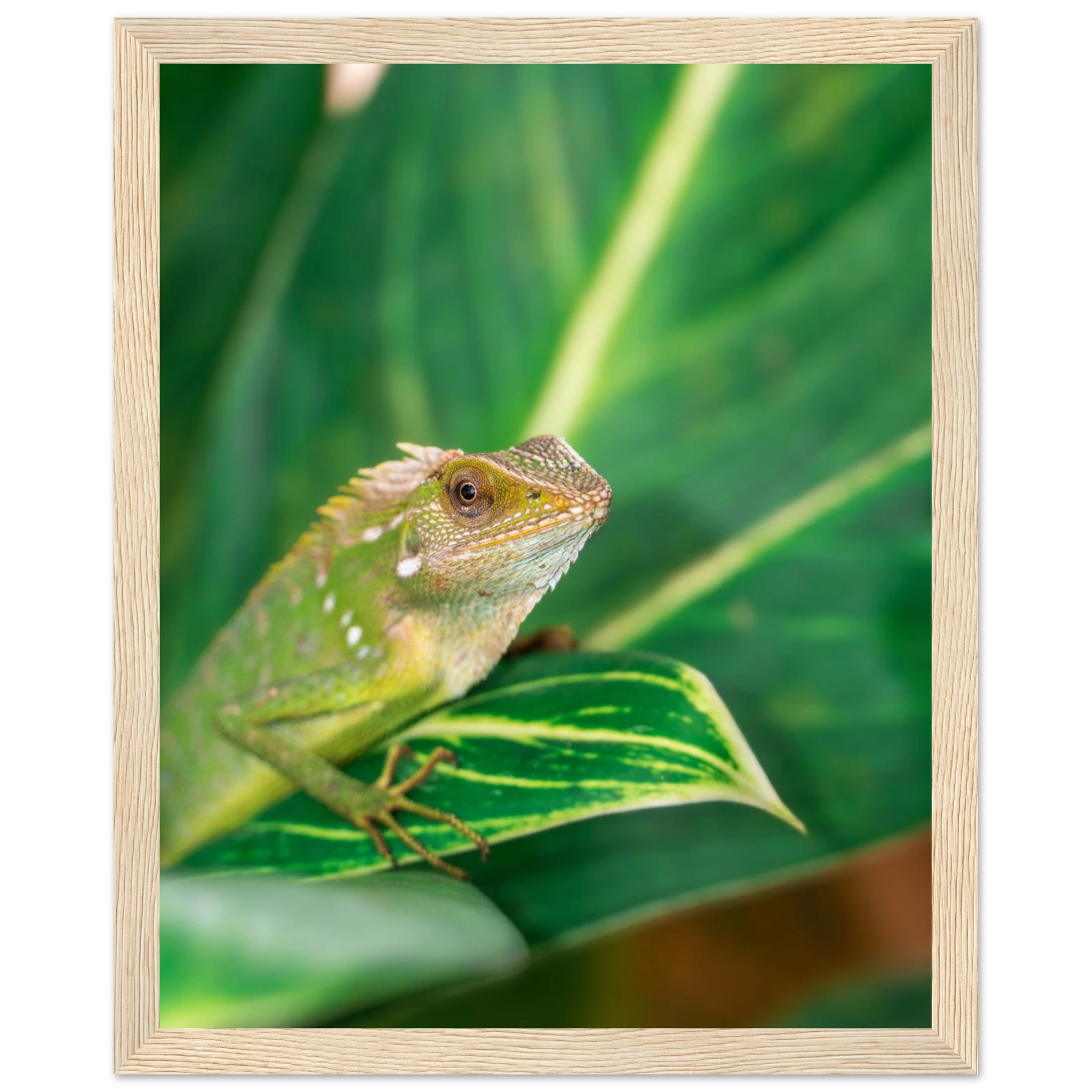 ce87392a-65ea-4b7f-95ff-c8cfe644acb6