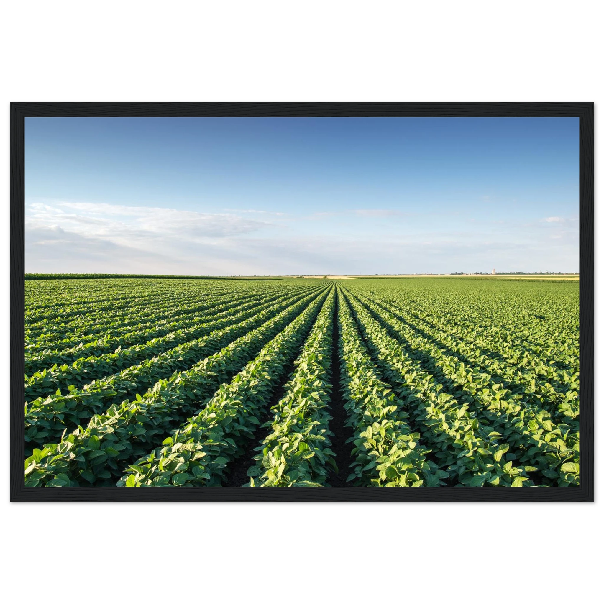 ce8ed678-76aa-43db-b994-cfea61d67a85