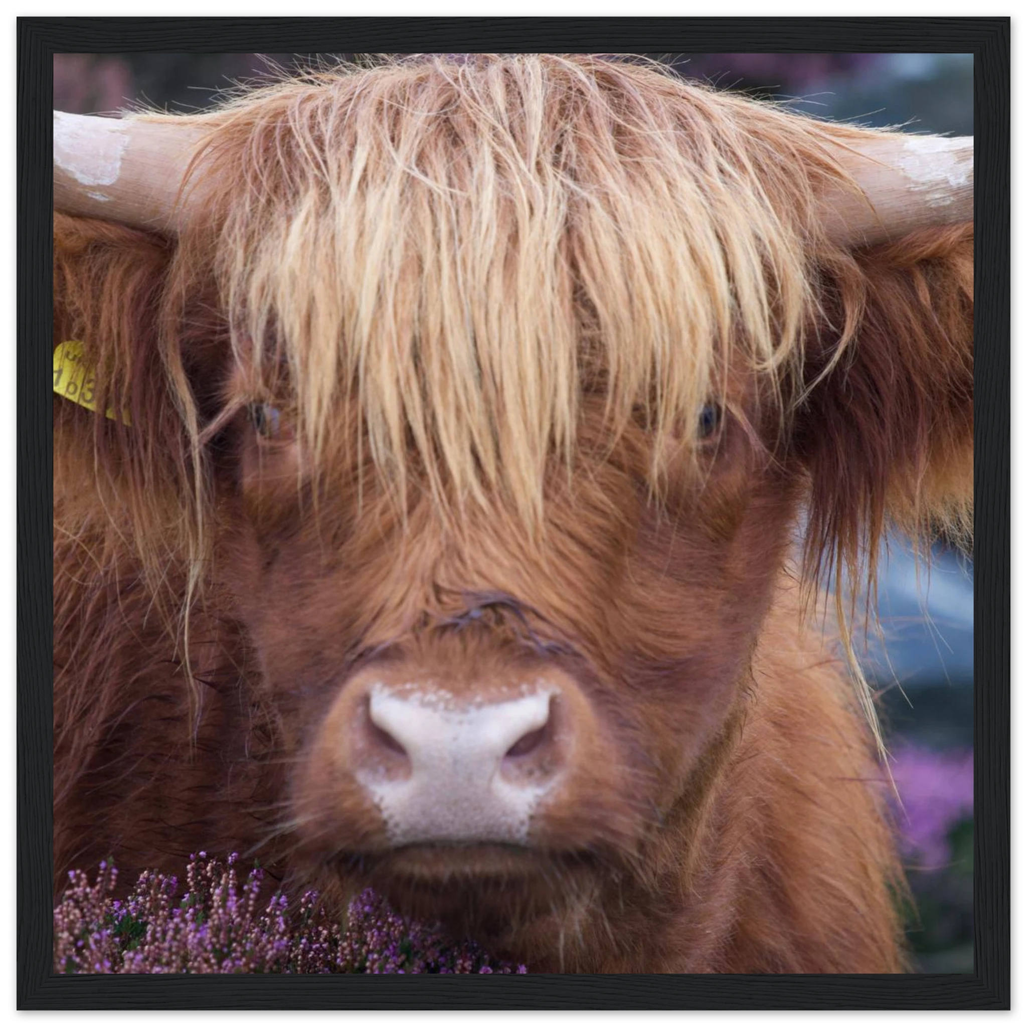 cea3418d-f0e9-456d-b38f-10213b23b3fd