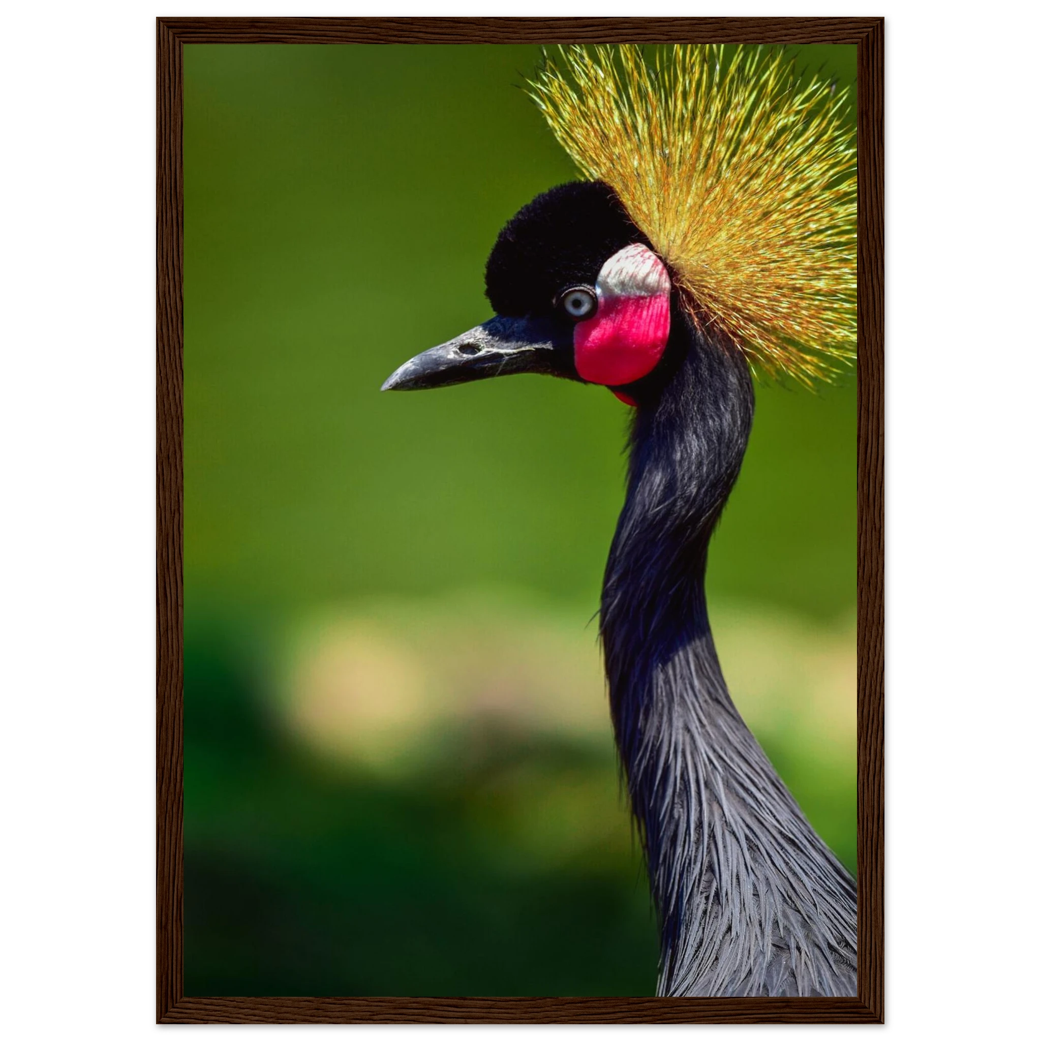 cebad55e-702c-4af1-9015-fc3b5ef78e23