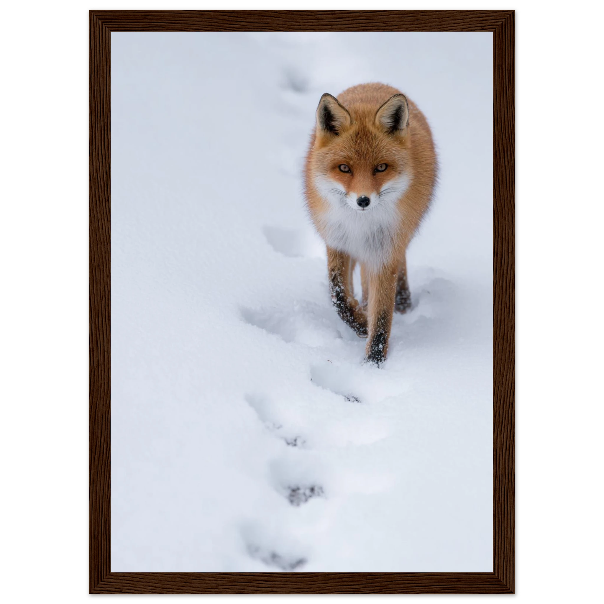 cebcc483-5da4-4814-b9dd-b4525c306f76