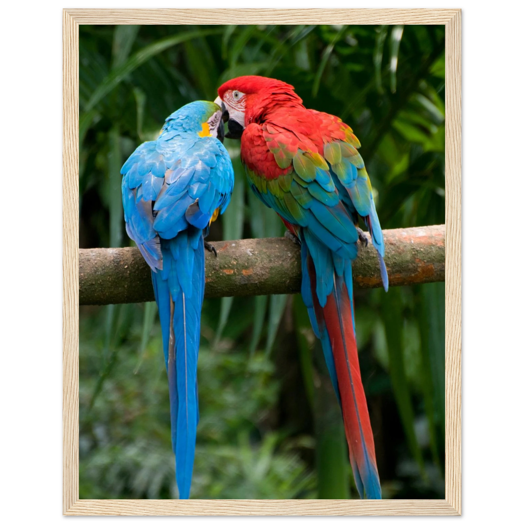 cebe6050-f7ec-4fbc-b911-34009827829d