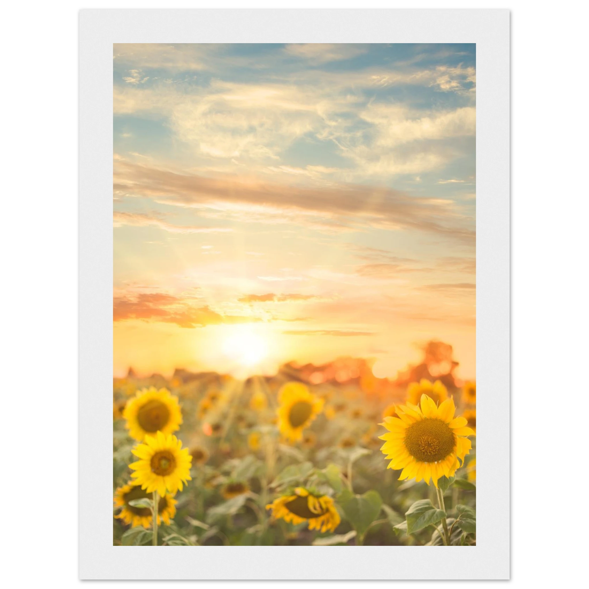 cedd8d46-18b7-4aab-8581-0e0769d200a0