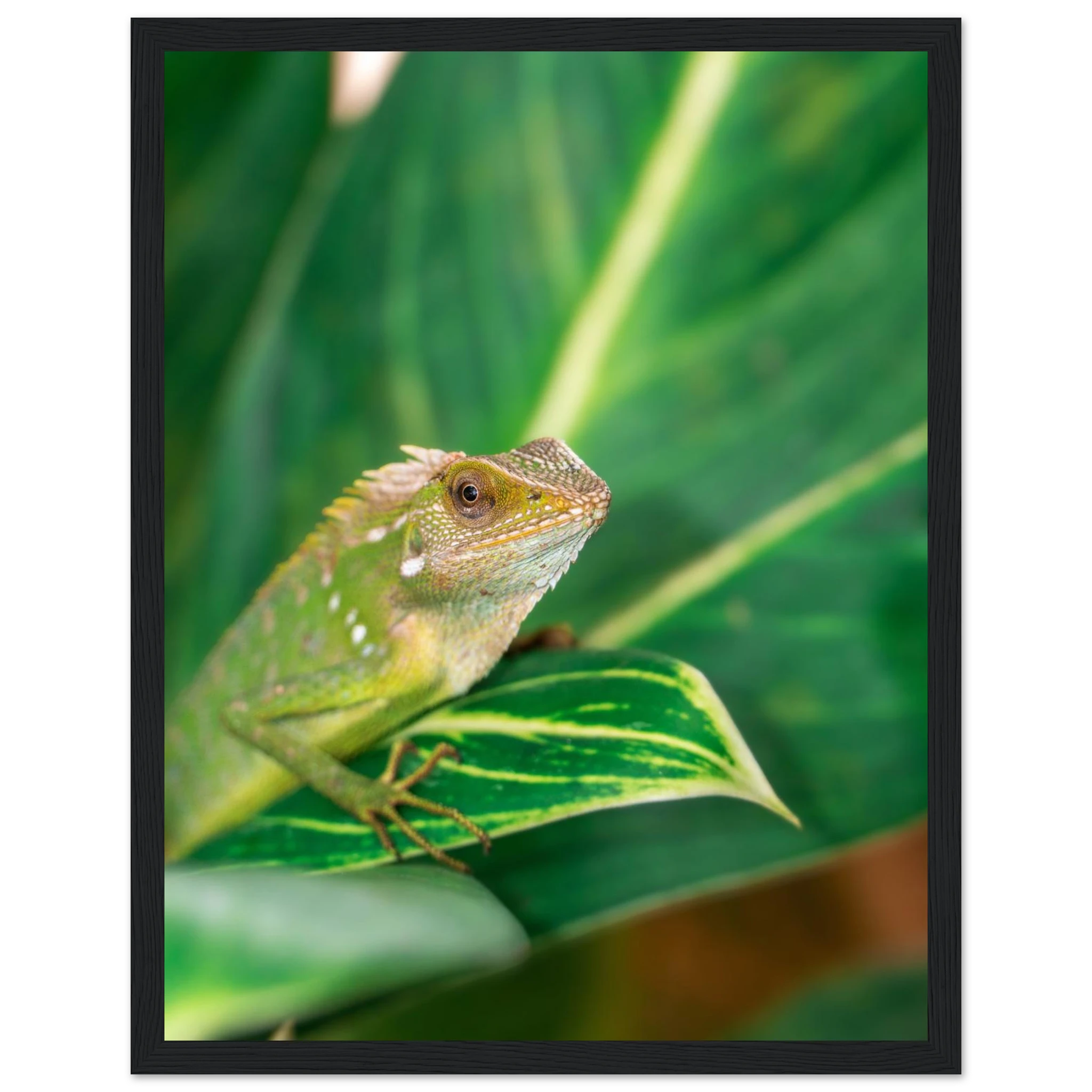 cee8814d-7d62-4ae1-8848-3662d24f6e5c