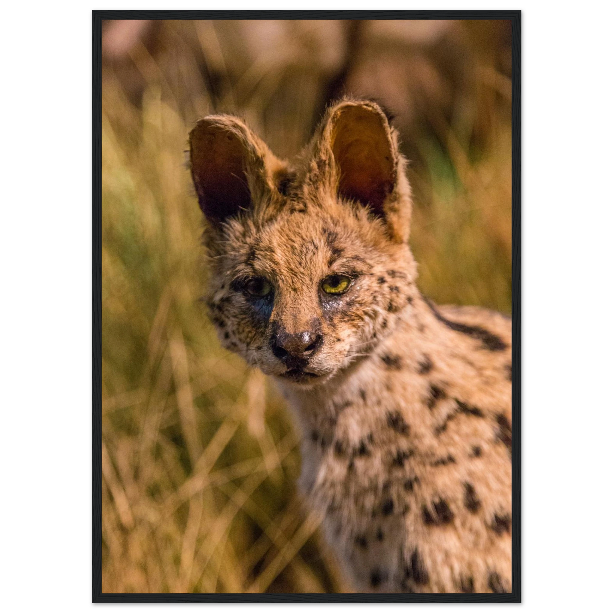 cf02366c-3c77-45d8-8471-2862e92a399e