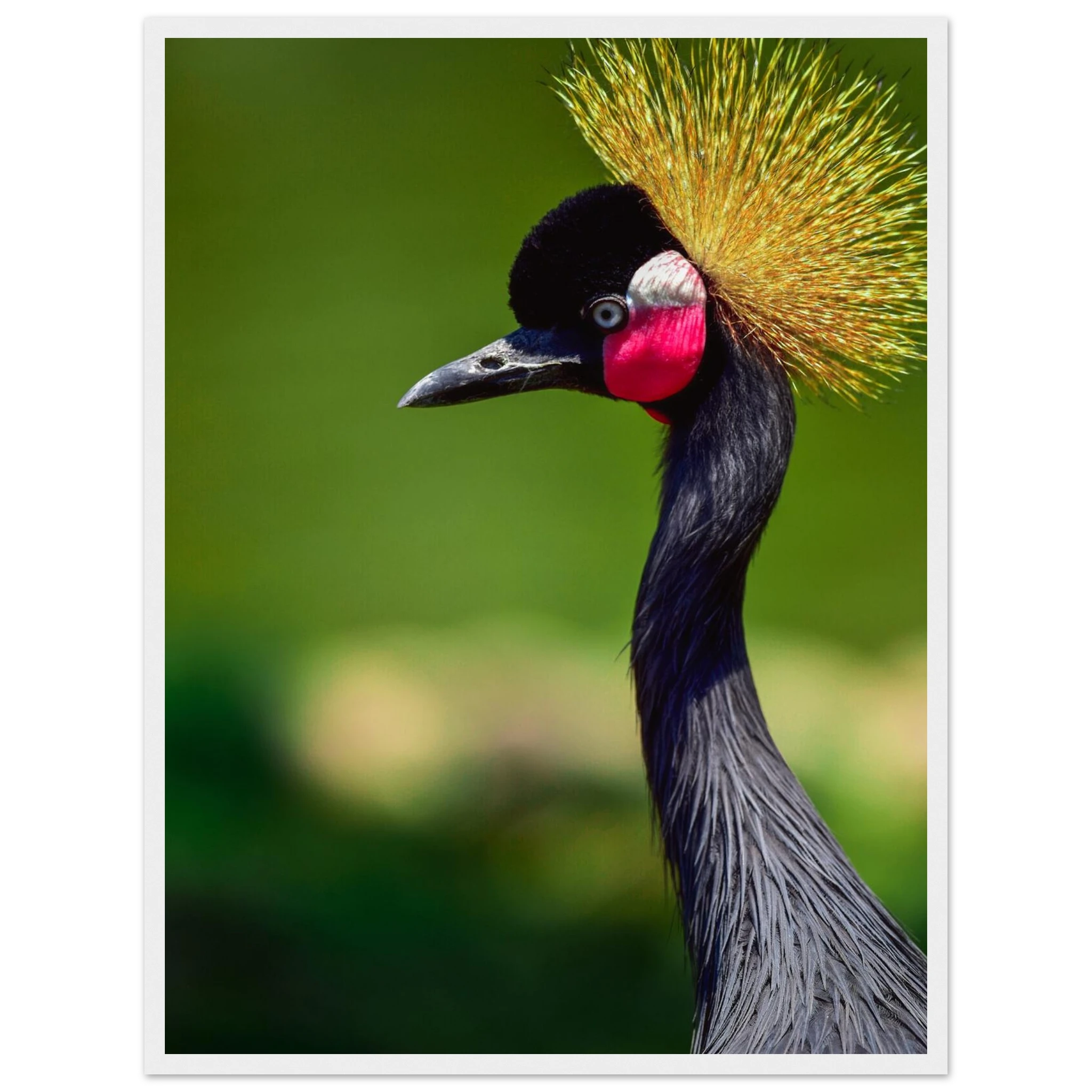 cf0a8745-2eaa-4540-a3d8-beb7e01c5875