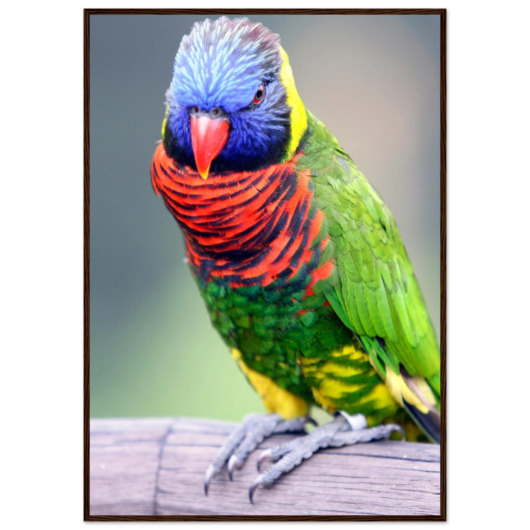 cf228ff3-5f6a-47e2-bc2f-f54e088b48d3