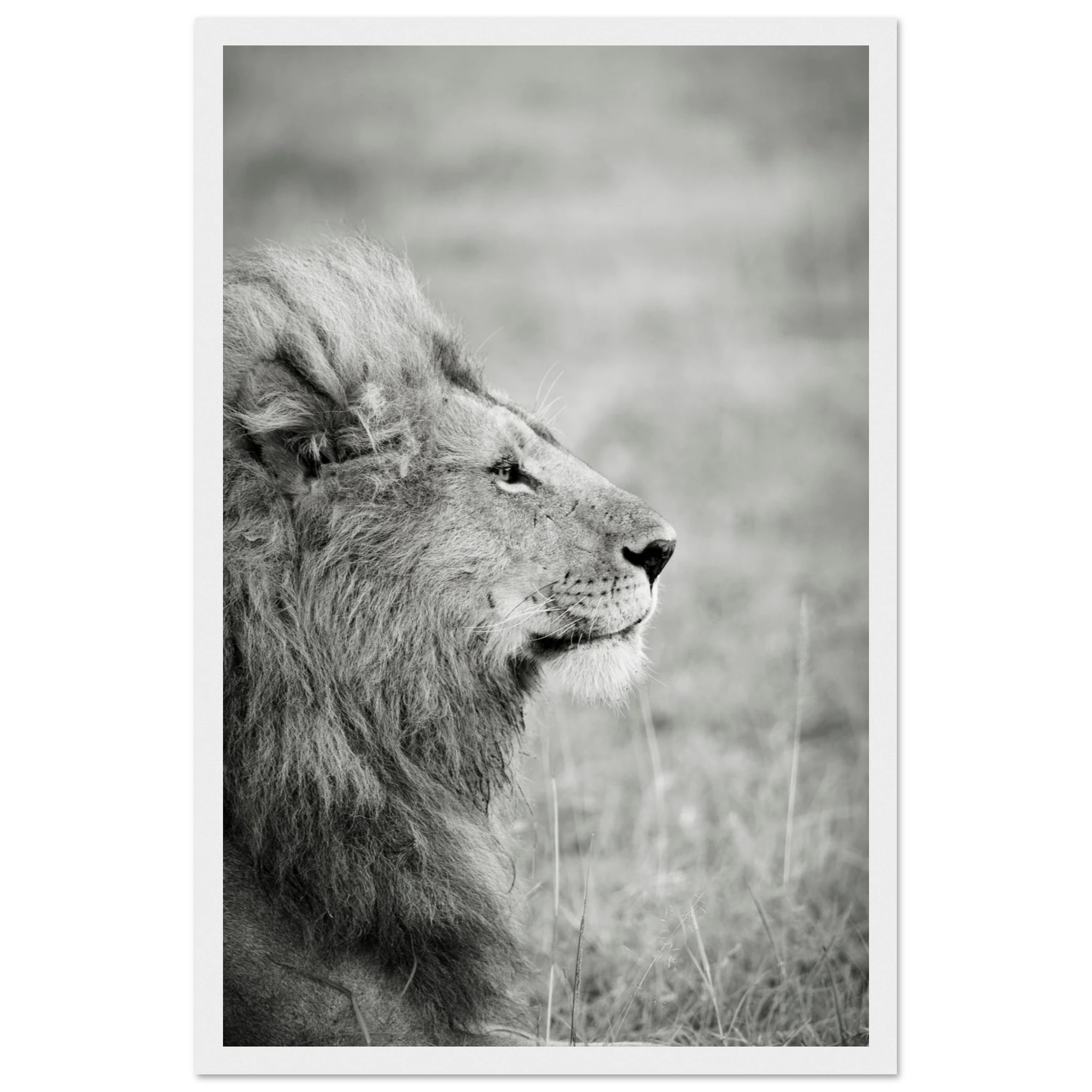 cf5e1ef0-6b31-4496-87aa-ec52d1a6ef72