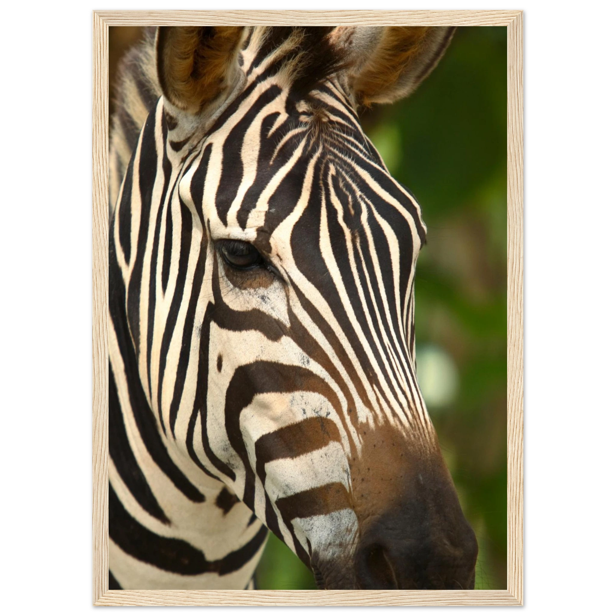 cf6821d2-3dd7-45ab-bb6c-f8844417d4bb