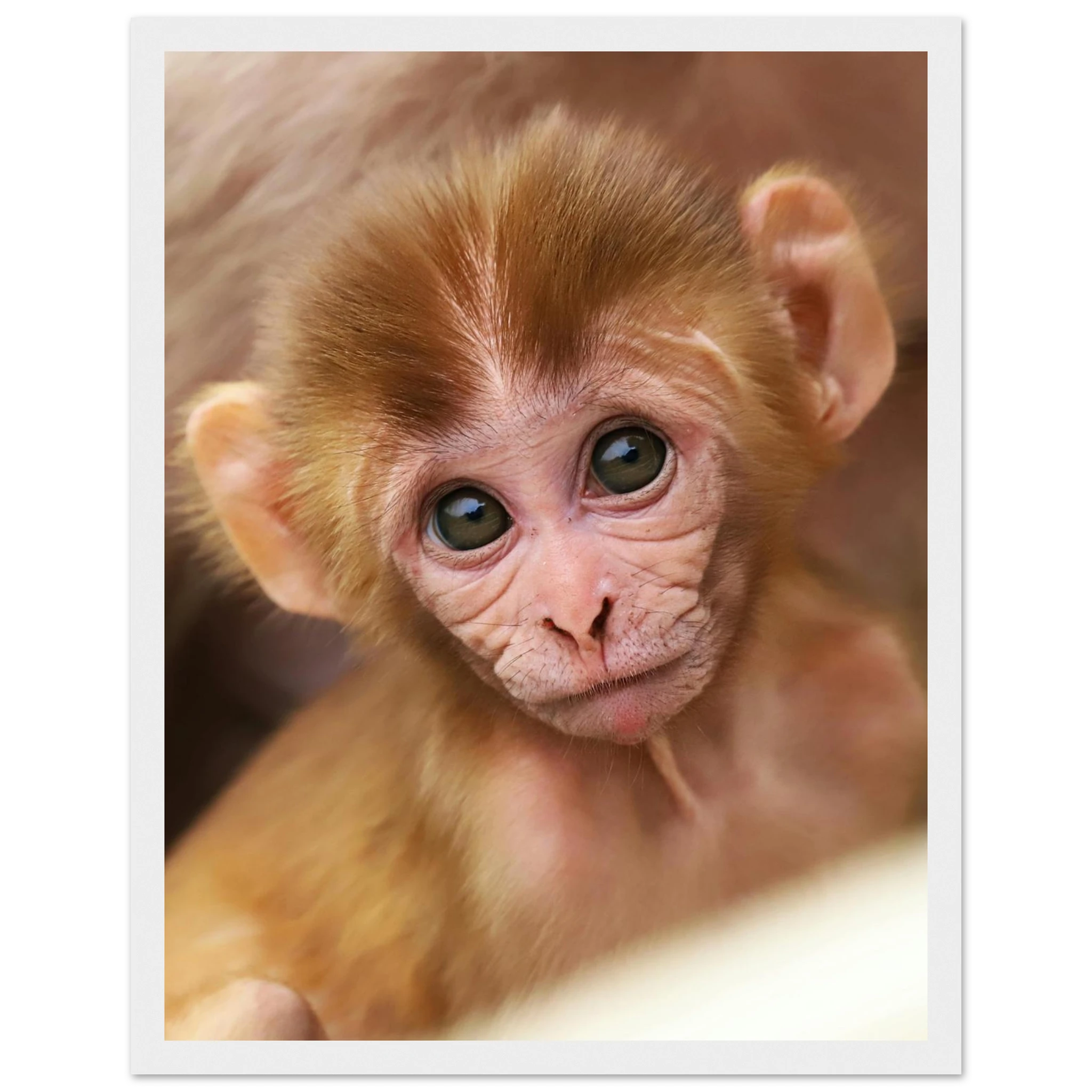 cf75a4ec-0436-4991-be81-c8ddf9454839