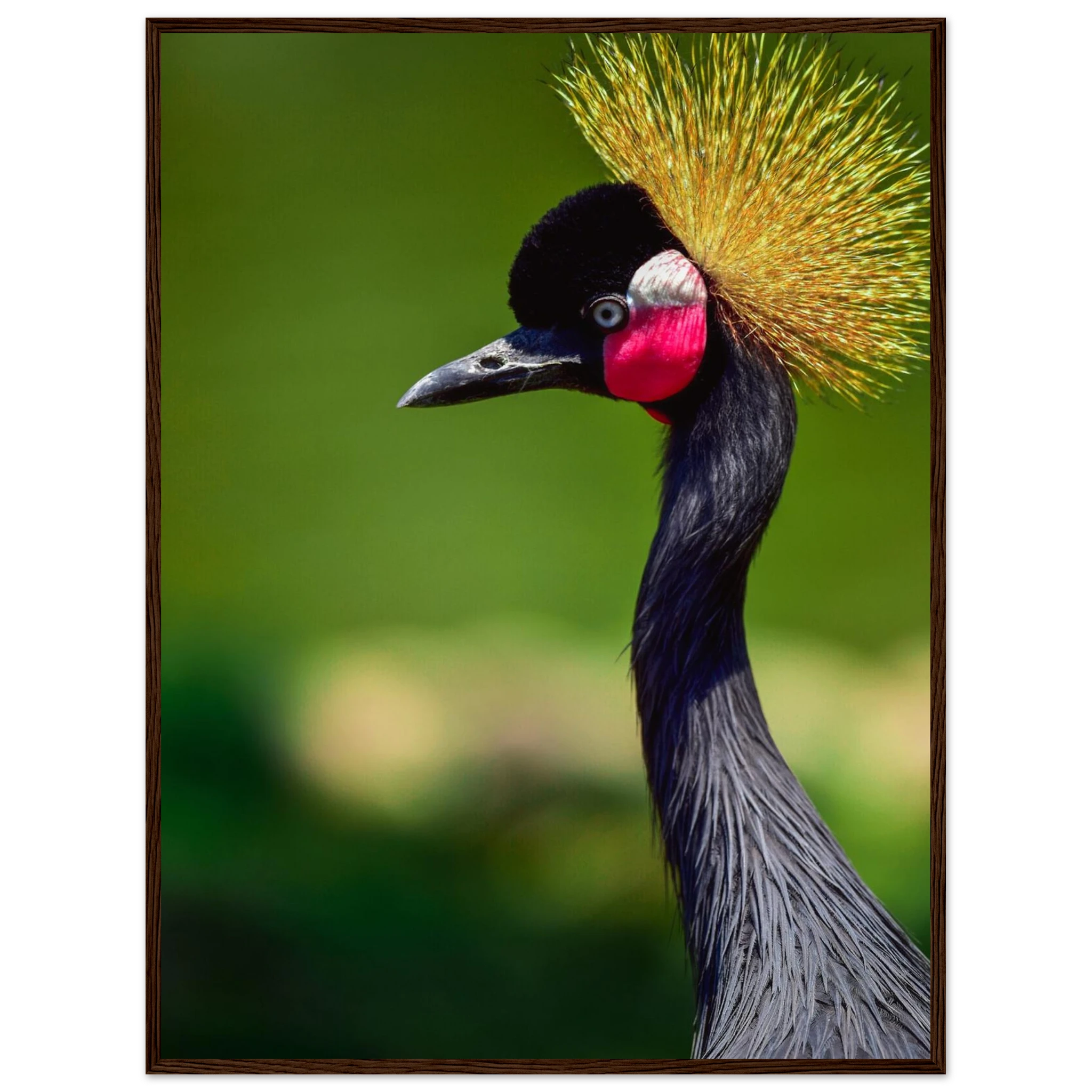 cf795a20-e816-44d6-ab73-4ebe6a0544ea