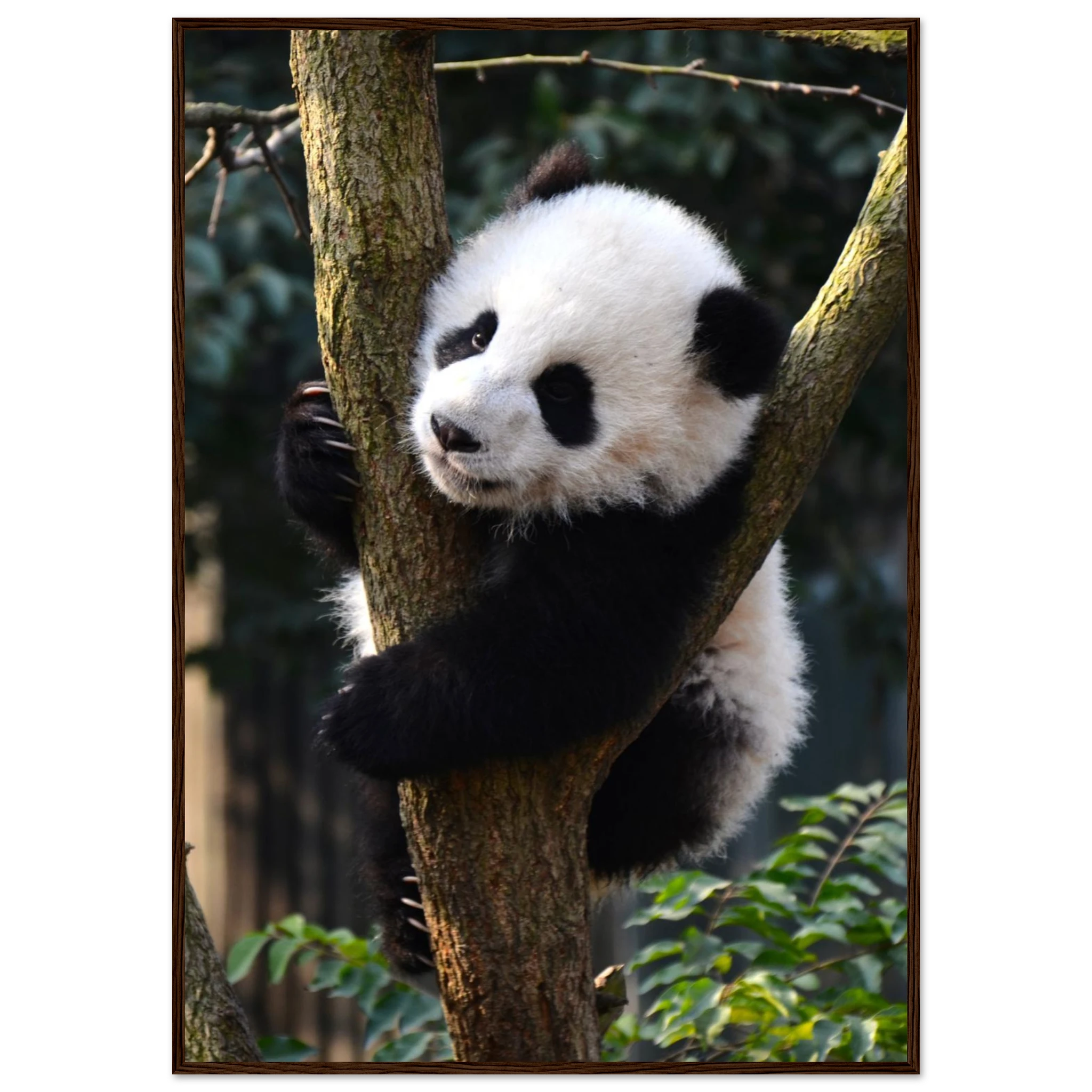 cf7ca7b7-5ea4-4b1f-8f4f-9cbf6b5cdb8c