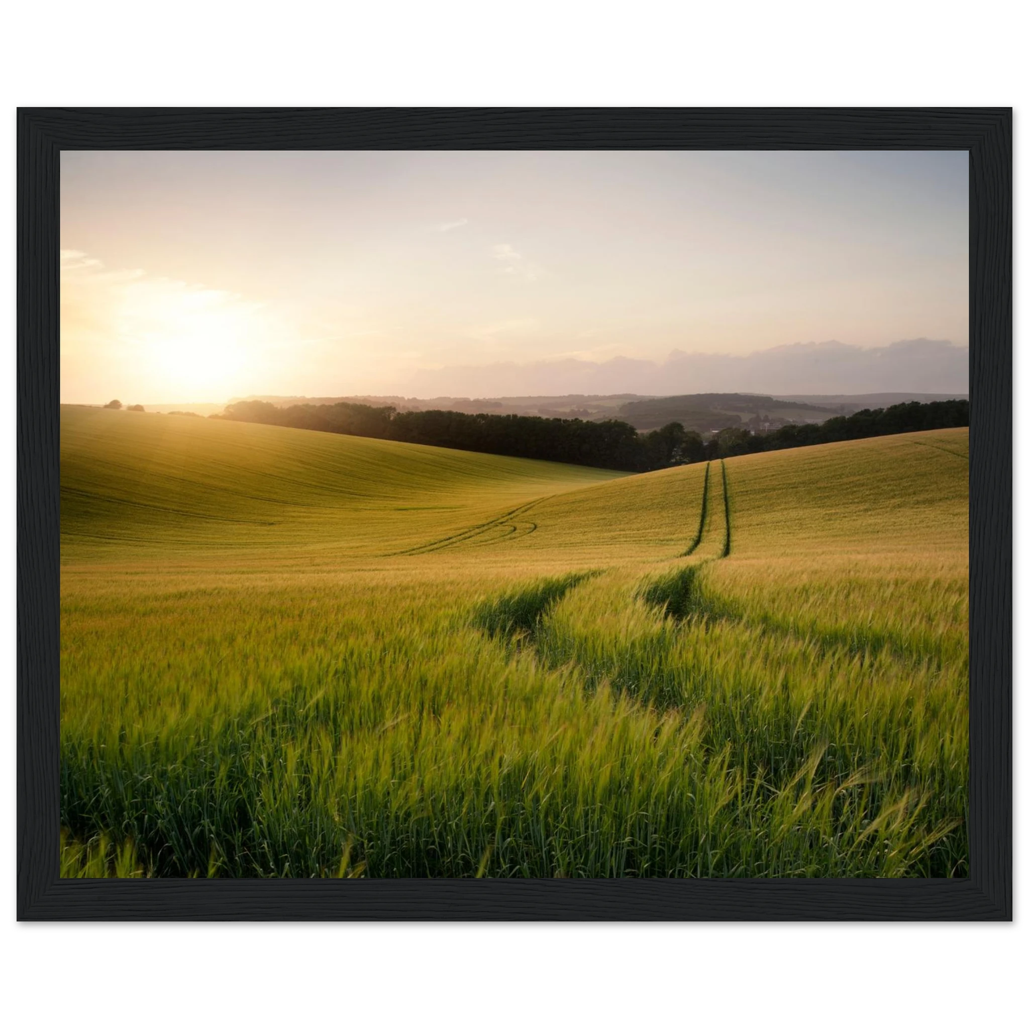 cf896144-f258-42e3-a442-89b634ab80f5