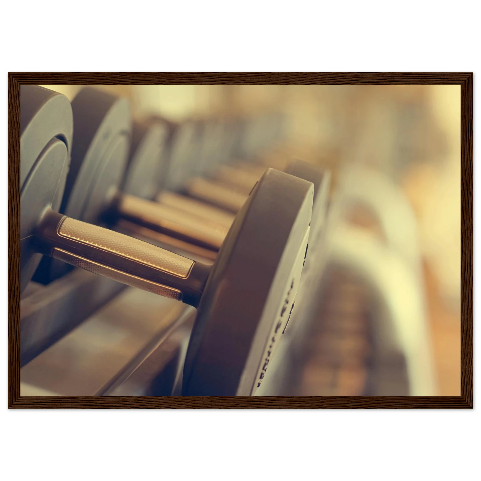 cf98c6c7-95a7-49b5-915a-b068dd4706a3