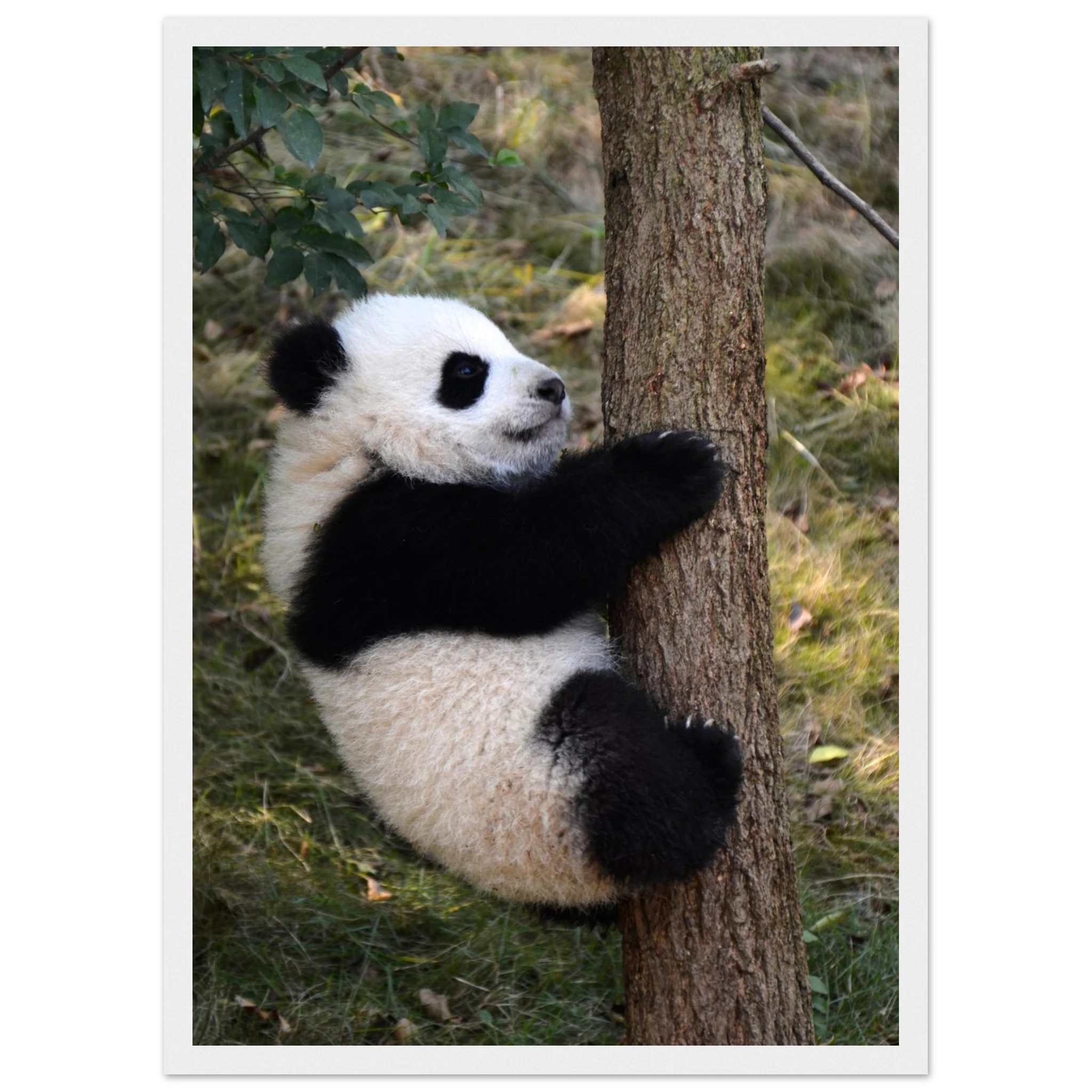 cfb4f608-b0c8-40f1-a5eb-27f6581758ad