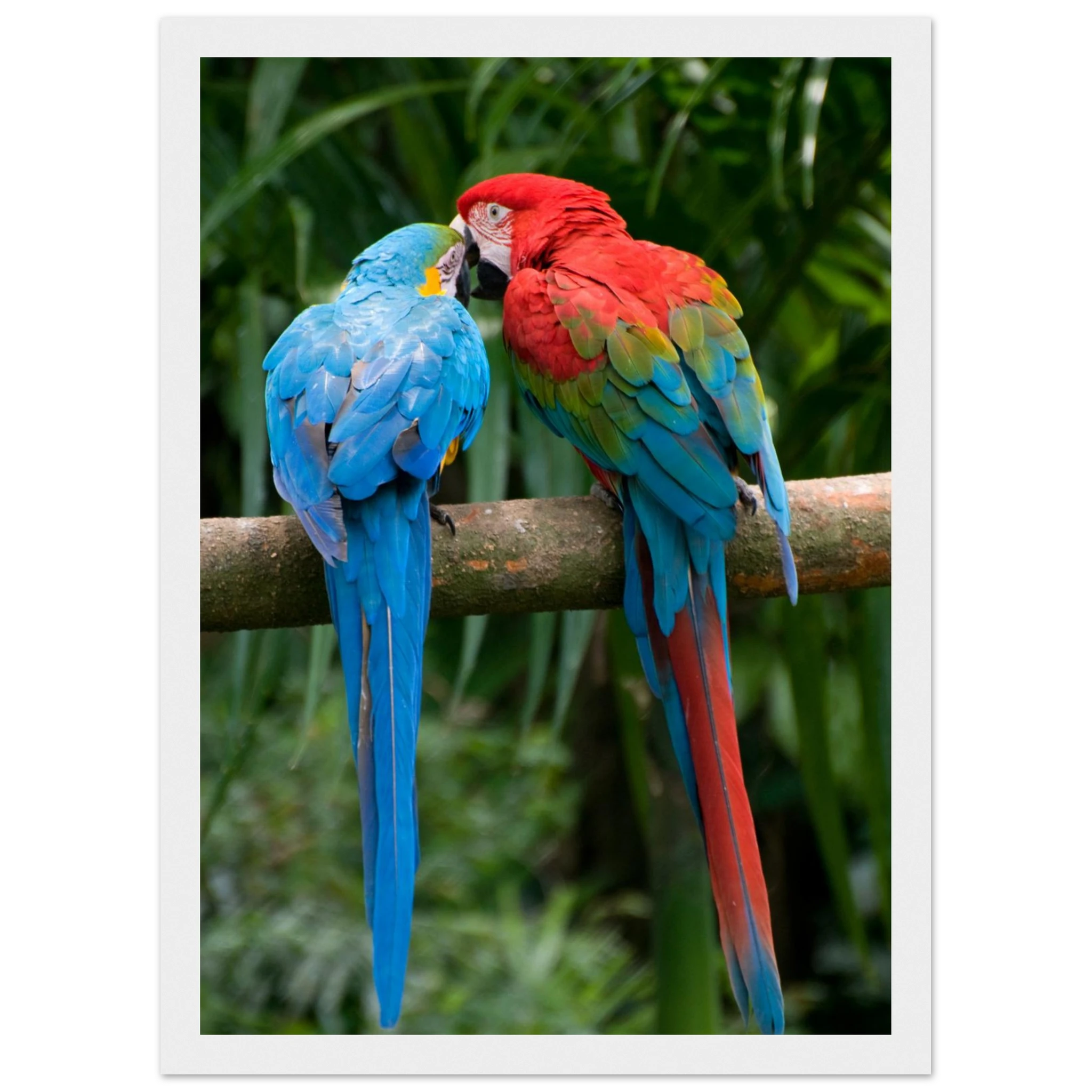 cfcc366c-7cc2-4928-8e95-35a2233ec890