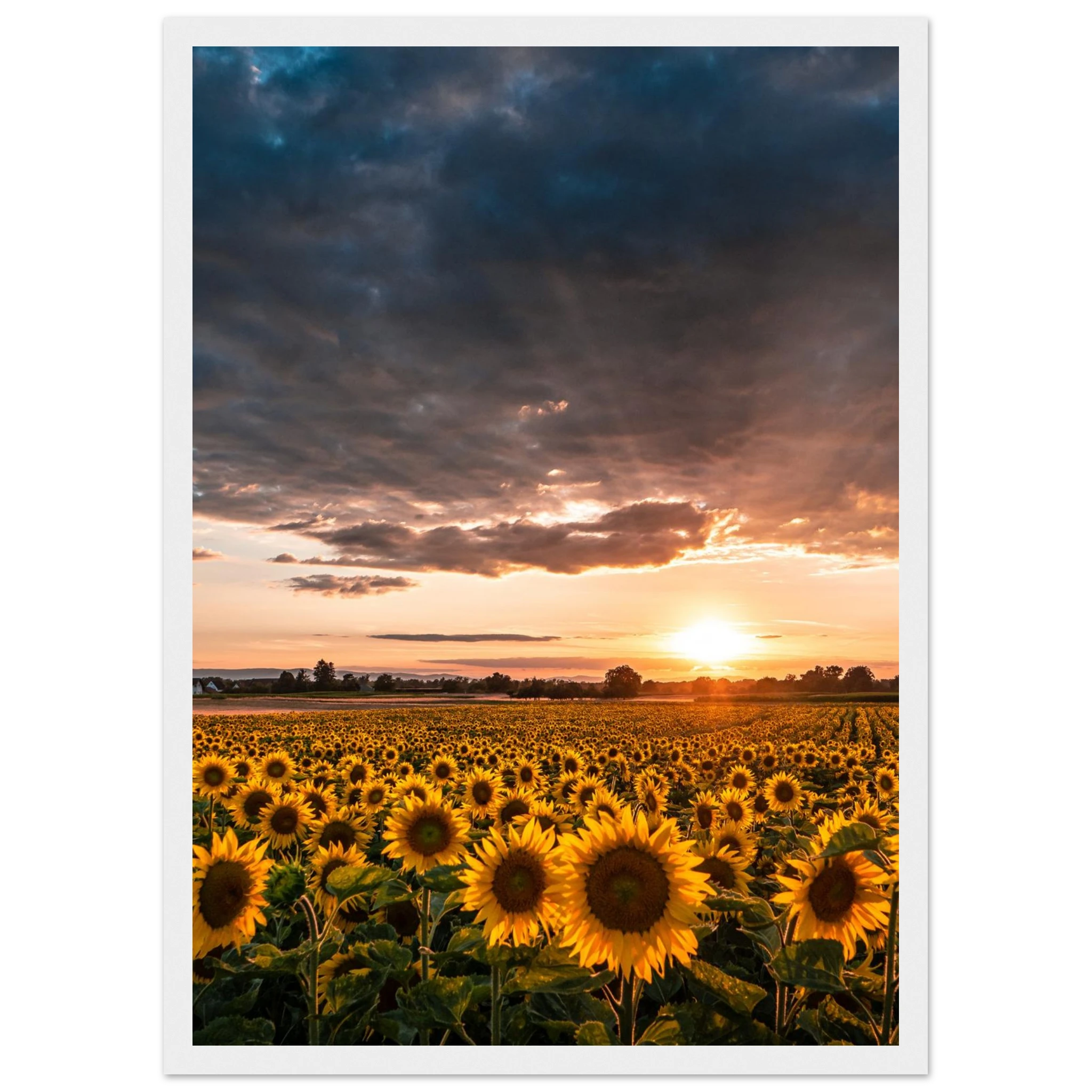 cfd2cf71-386d-4a66-b027-13c4bbc568a1