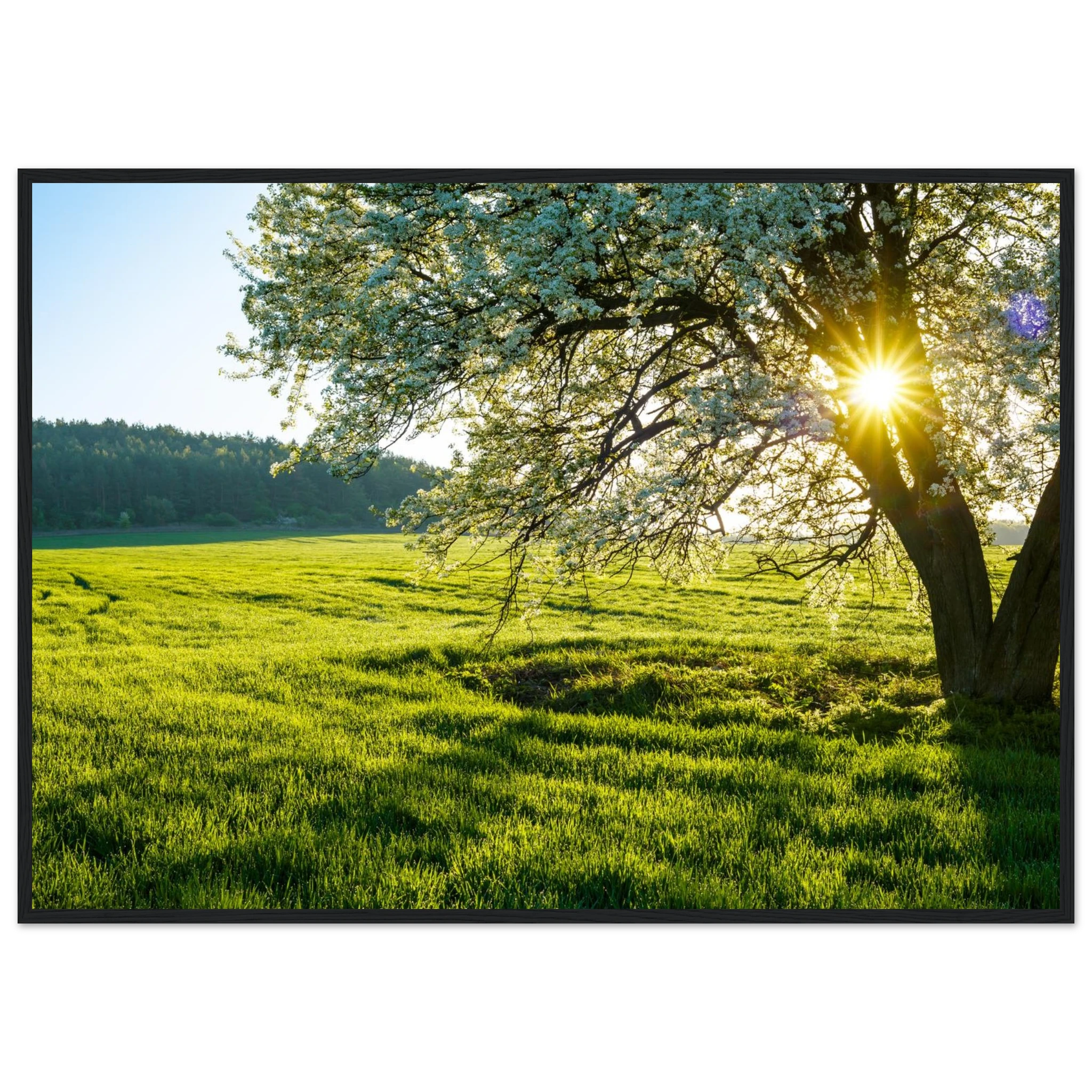 cfd45e46-5ec1-40c3-919d-f66610e0499e