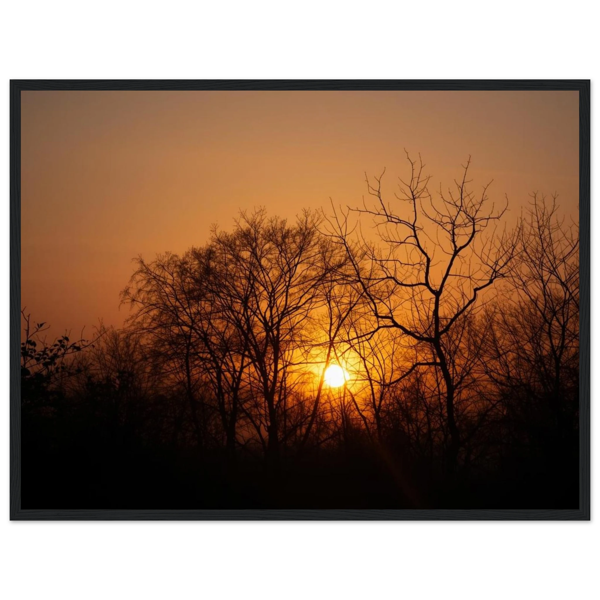 cfdfb81e-cd56-4c2c-ba82-9949098aa9b6